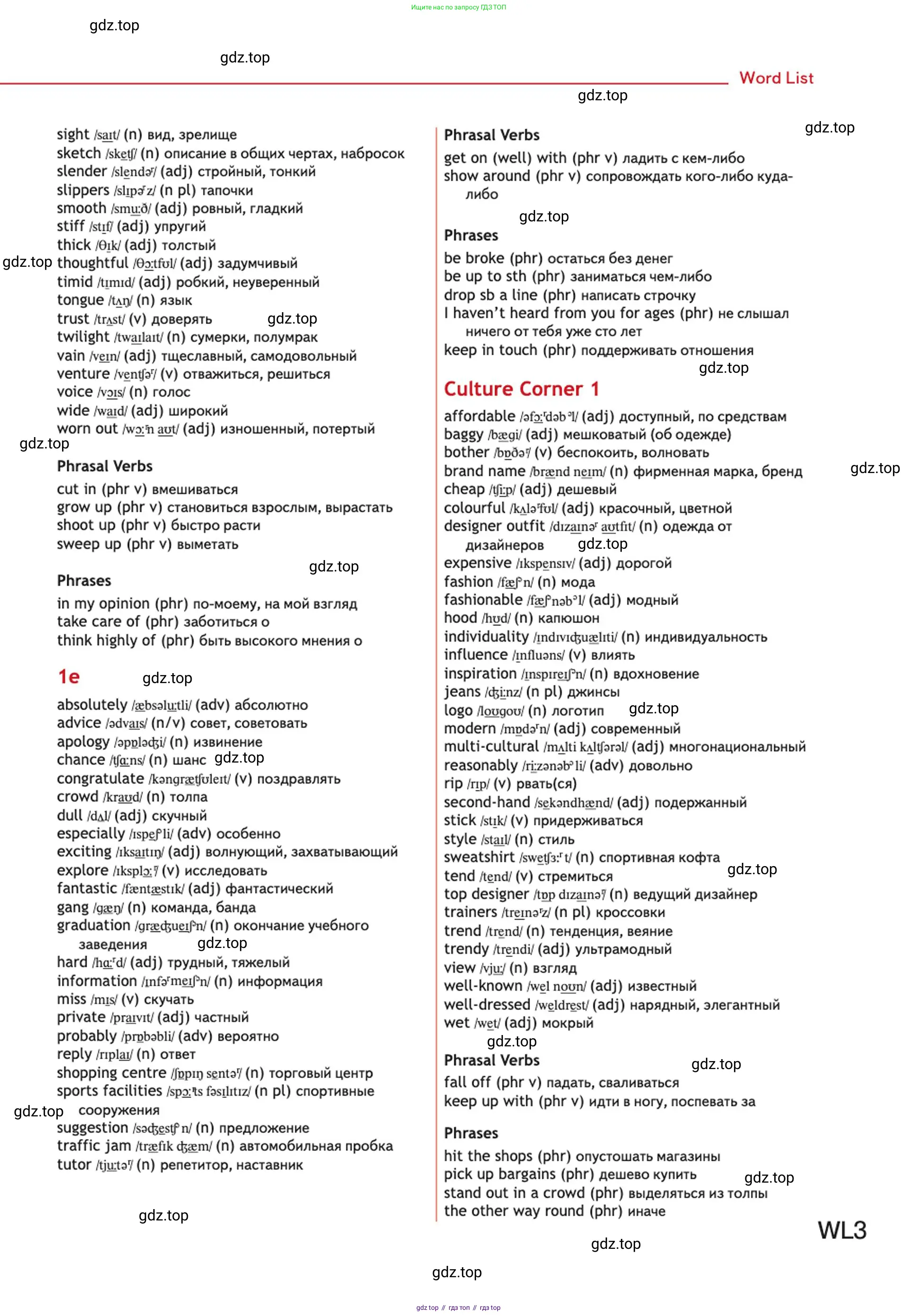 Английский язык (english), 10 класс Учебник (Student's book), авторы: Афанасьева Ольга Васильевна (Afanasyeva Olga), Дули Дженни (Dooley Jenny), Михеева Ирина Владимировна (Mikheeva Irina), Оби Боб (Obee Bob), Эванс Вирджиния (Evans Virginia), издательство Просвещение, Москва, 2019, красного цвета, страница 219
