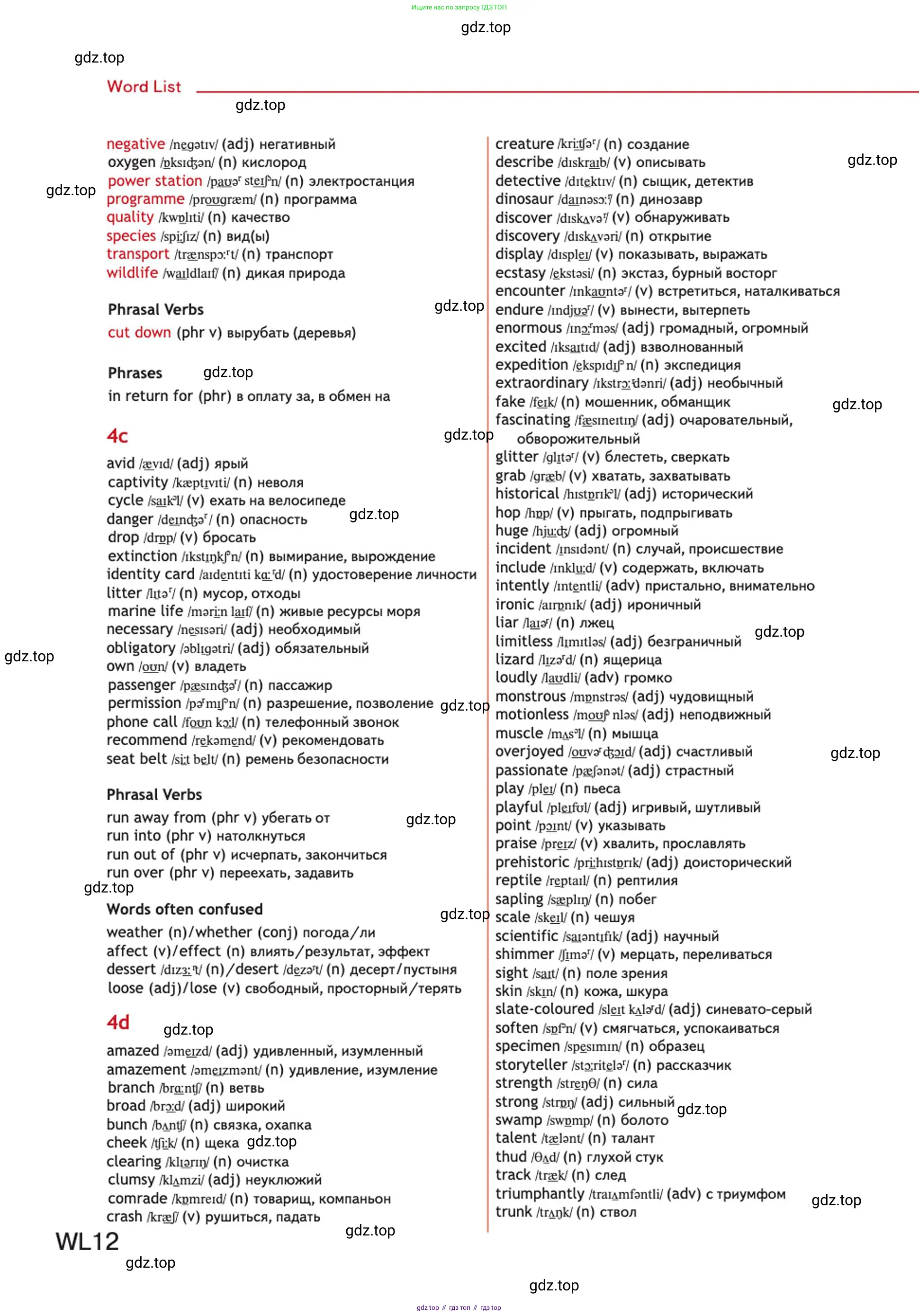 Английский язык (english), 10 класс Учебник (Student's book), авторы: Афанасьева Ольга Васильевна (Afanasyeva Olga), Дули Дженни (Dooley Jenny), Михеева Ирина Владимировна (Mikheeva Irina), Оби Боб (Obee Bob), Эванс Вирджиния (Evans Virginia), издательство Просвещение, Москва, 2019, красного цвета, страница 228