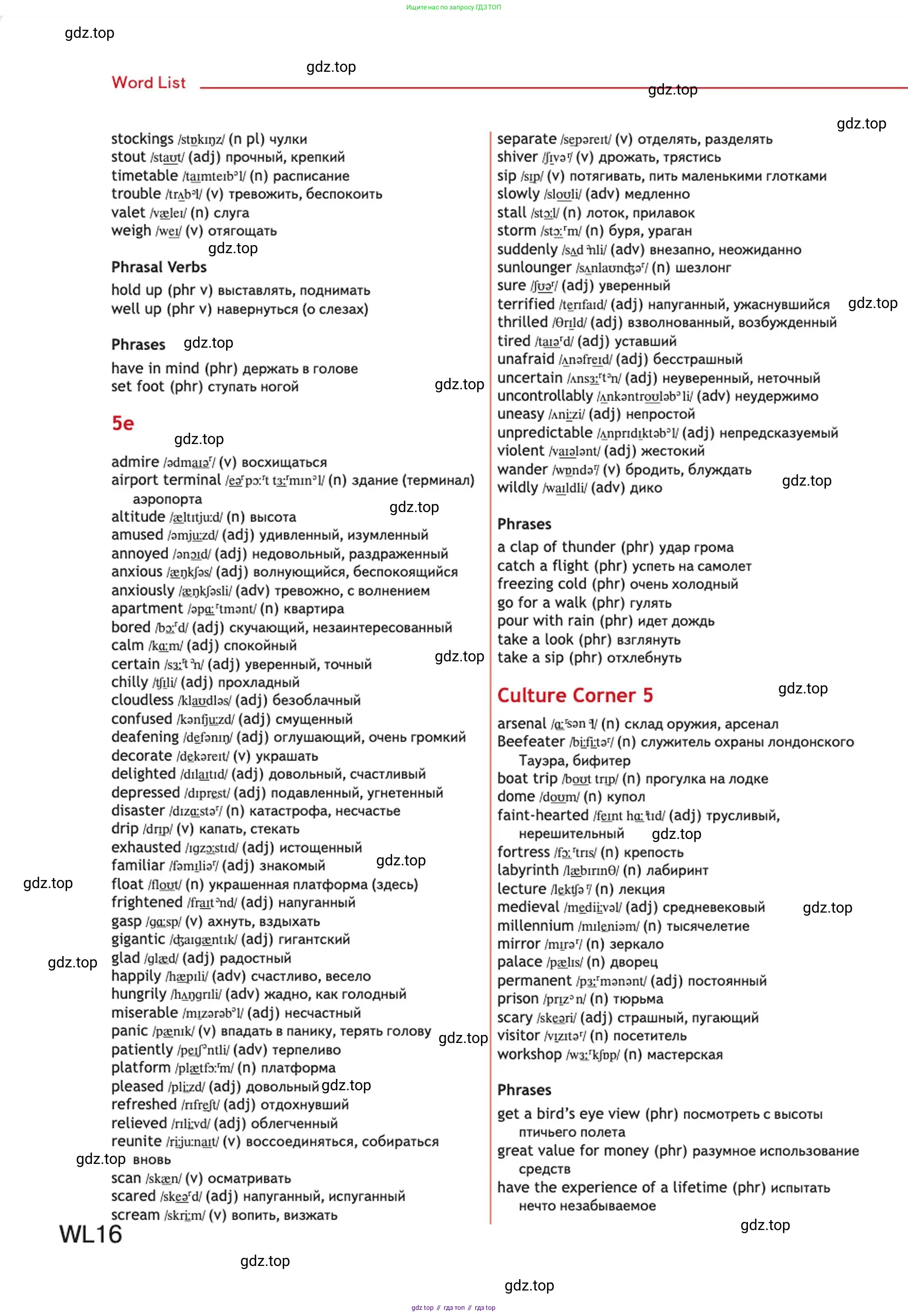 Английский язык (english), 10 класс Учебник (Student's book), авторы: Афанасьева Ольга Васильевна (Afanasyeva Olga), Дули Дженни (Dooley Jenny), Михеева Ирина Владимировна (Mikheeva Irina), Оби Боб (Obee Bob), Эванс Вирджиния (Evans Virginia), издательство Просвещение, Москва, 2019, красного цвета, страница 232