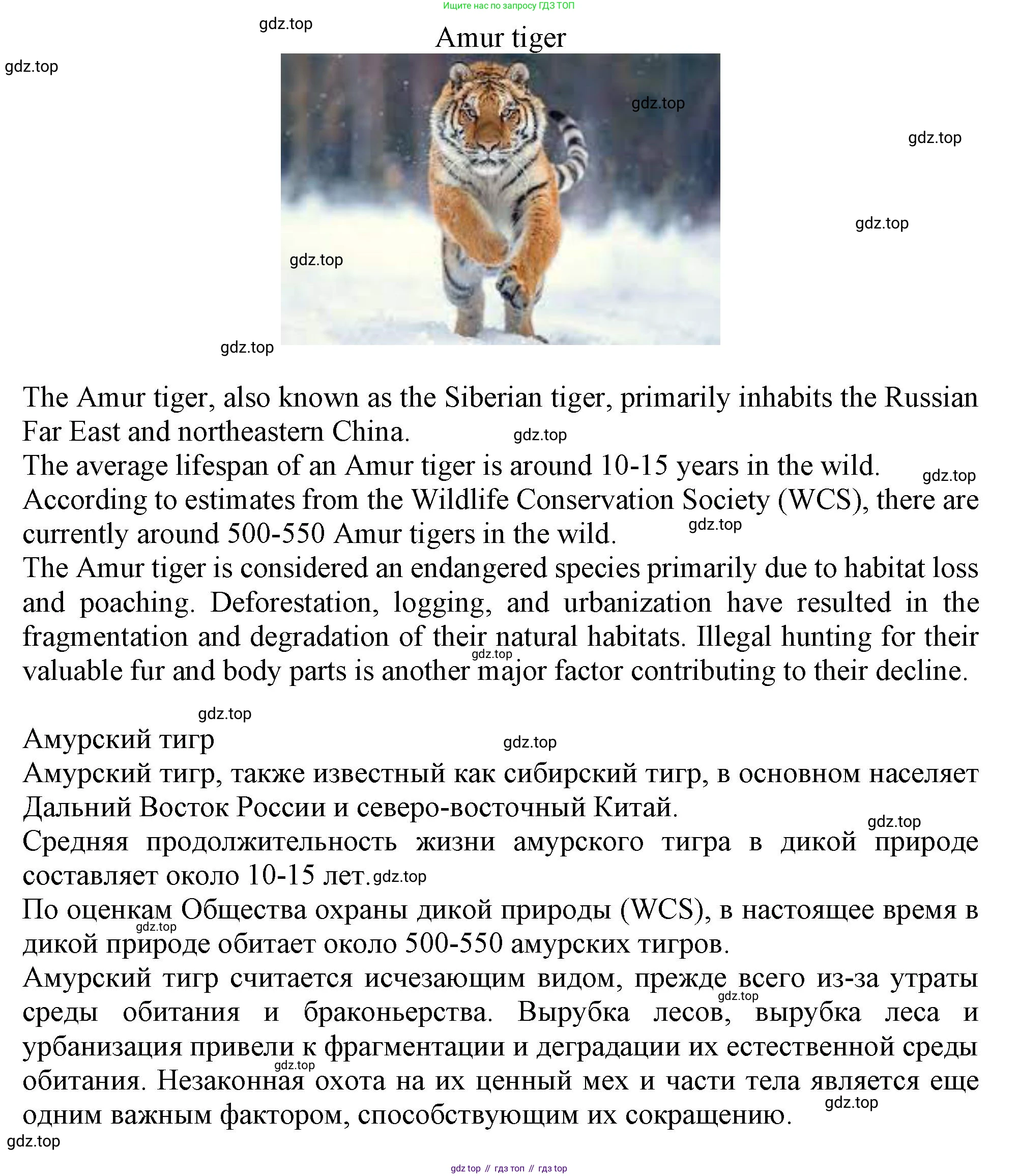 Английский язык (english), 10 класс Учебник (Student's book), авторы: Афанасьева Ольга Васильевна (Afanasyeva Olga), Дули Дженни (Dooley Jenny), Михеева Ирина Владимировна (Mikheeva Irina), Оби Боб (Obee Bob), Эванс Вирджиния (Evans Virginia), издательство Просвещение, Москва, 2019, красного цвета, страница 59, номер 3, Решение 1 (продолжение 4)
