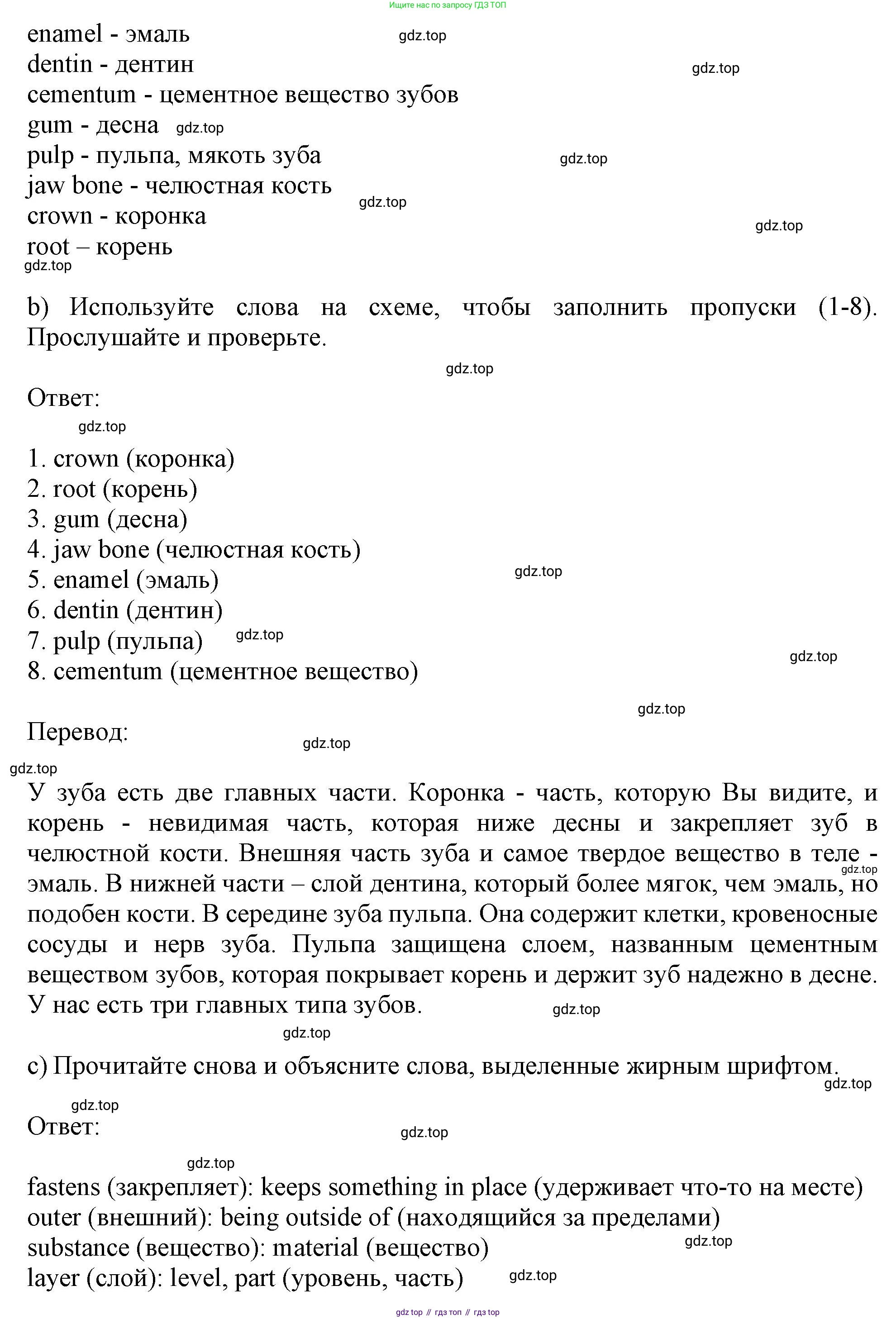 Английский язык (english), 10 класс Учебник (Student's book), авторы: Афанасьева Ольга Васильевна (Afanasyeva Olga), Дули Дженни (Dooley Jenny), Михеева Ирина Владимировна (Mikheeva Irina), Оби Боб (Obee Bob), Эванс Вирджиния (Evans Virginia), издательство Просвещение, Москва, 2019, красного цвета, страница 116, номер 2, Решение 1 (продолжение 2)