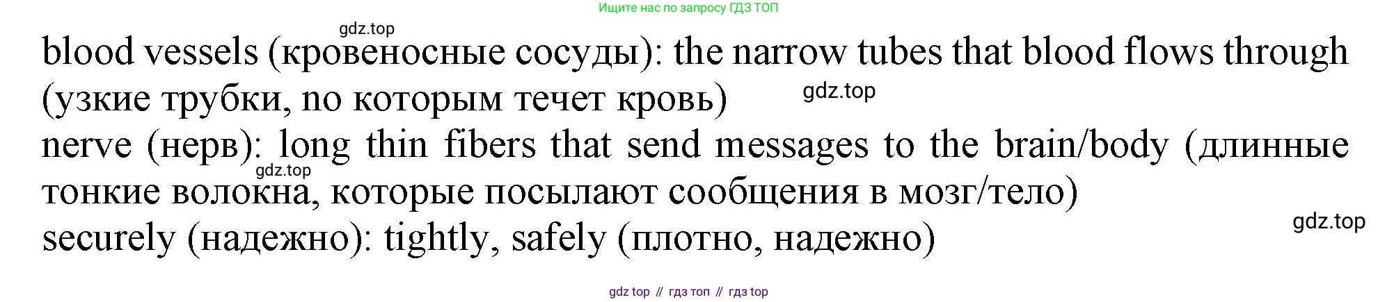 Английский язык (english), 10 класс Учебник (Student's book), авторы: Афанасьева Ольга Васильевна (Afanasyeva Olga), Дули Дженни (Dooley Jenny), Михеева Ирина Владимировна (Mikheeva Irina), Оби Боб (Obee Bob), Эванс Вирджиния (Evans Virginia), издательство Просвещение, Москва, 2019, красного цвета, страница 116, номер 2, Решение 1 (продолжение 3)