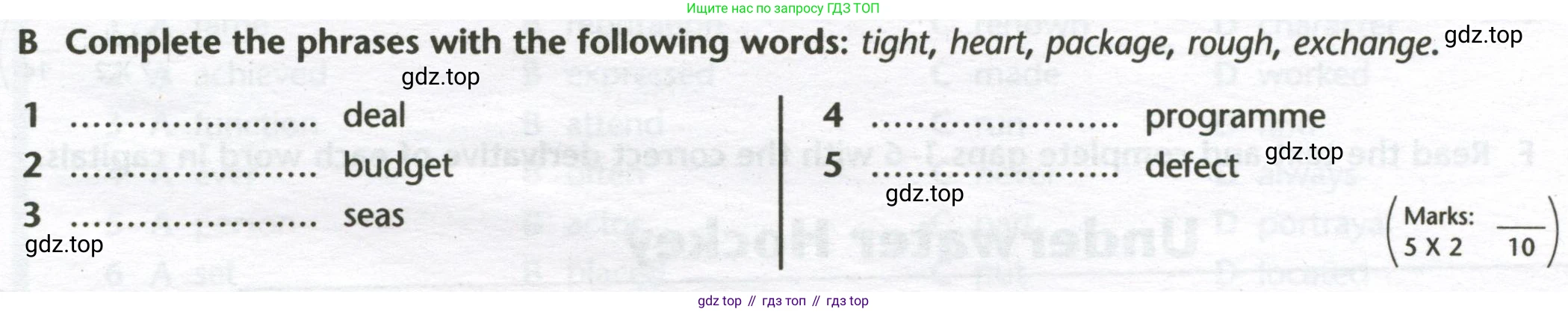 ГДЗ Английский язык (english), 10 класс контрольные задания (test booklet), авторы: Баранова Ксения Михайловна (Baranova Ksenia), Дули Дженни (Dooley Jenny), Копылова Виктория Викторовна (Kopylova Victoria), Мильруд Радислав Петрович (Millrood Radislav), Эванс Вирджиния (Evans Virginia), издательство Просвещение, Москва, 2019, серого цвета, страница 5, номер B, Условие