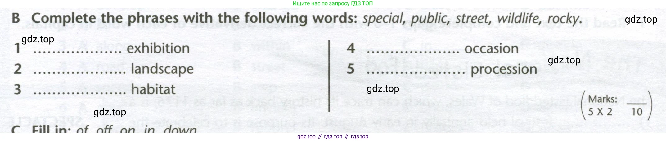 ГДЗ Английский язык (english), 10 класс контрольные задания (test booklet), авторы: Баранова Ксения Михайловна (Baranova Ksenia), Дули Дженни (Dooley Jenny), Копылова Виктория Викторовна (Kopylova Victoria), Мильруд Радислав Петрович (Millrood Radislav), Эванс Вирджиния (Evans Virginia), издательство Просвещение, Москва, 2019, серого цвета, страница 17, номер B, Условие