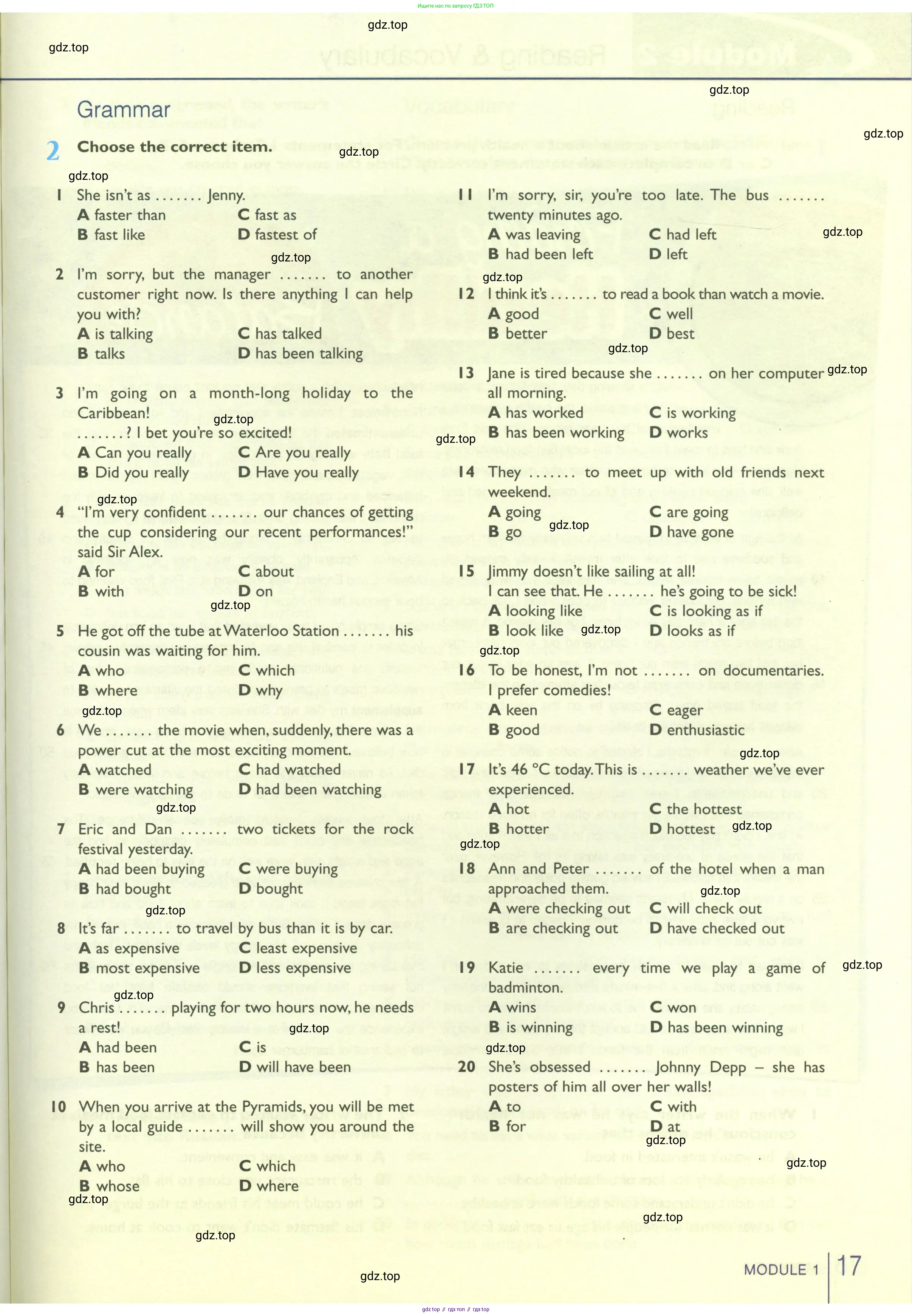 Английский язык (english), 10 класс Рабочая тетрадь (workbook), авторы: Баранова Ксения Михайловна (Baranova Ksenia), Дули Дженни (Dooley Jenny), Копылова Виктория Викторовна (Kopylova Victoria), Мильруд Радислав Петрович (Millrood Radislav), Эванс Вирджиния (Evans Virginia), издательство Просвещение, Москва, 2019, белого цвета, страница 17