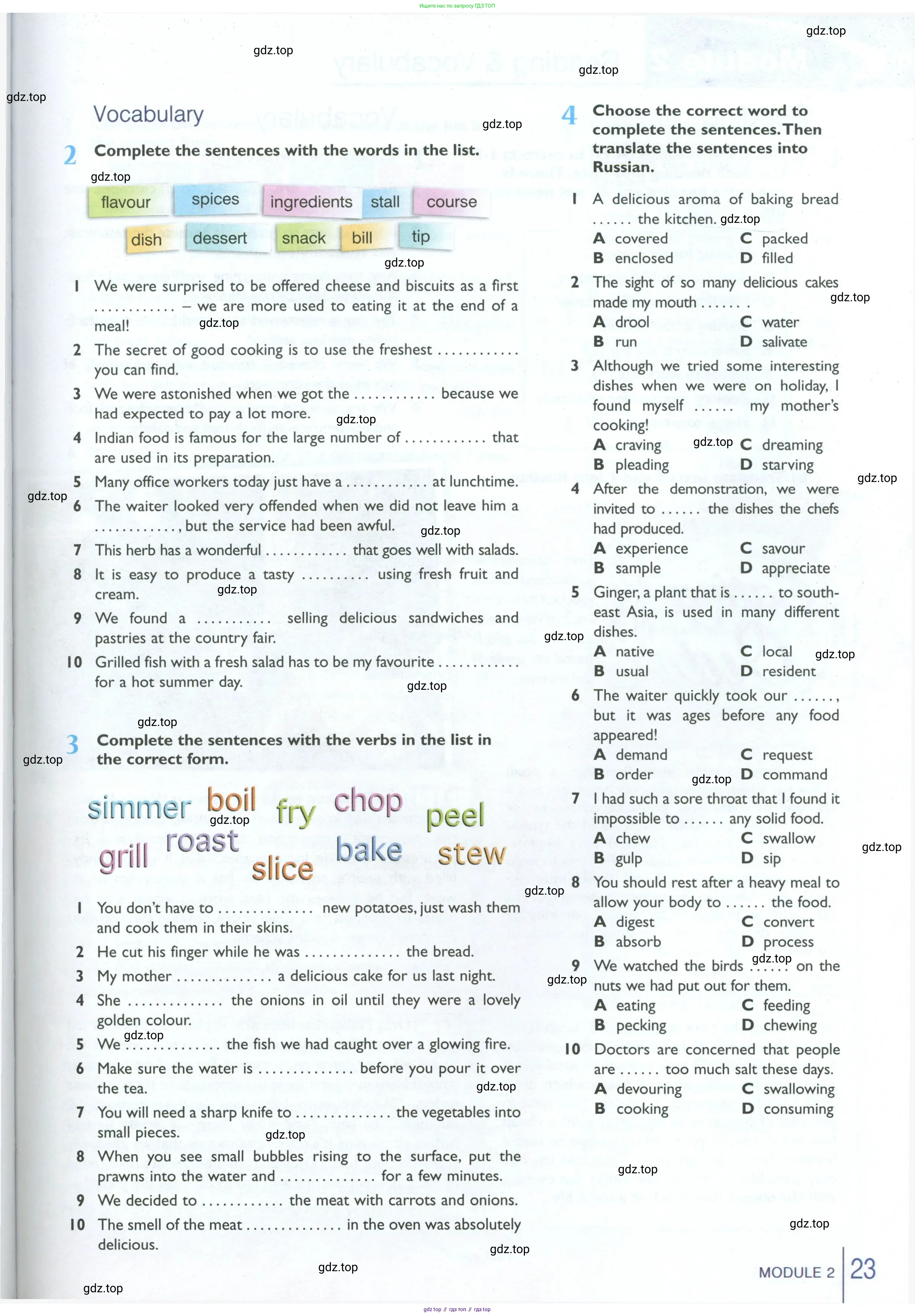 Английский язык (english), 10 класс Рабочая тетрадь (workbook), авторы: Баранова Ксения Михайловна (Baranova Ksenia), Дули Дженни (Dooley Jenny), Копылова Виктория Викторовна (Kopylova Victoria), Мильруд Радислав Петрович (Millrood Radislav), Эванс Вирджиния (Evans Virginia), издательство Просвещение, Москва, 2019, белого цвета, страница 23