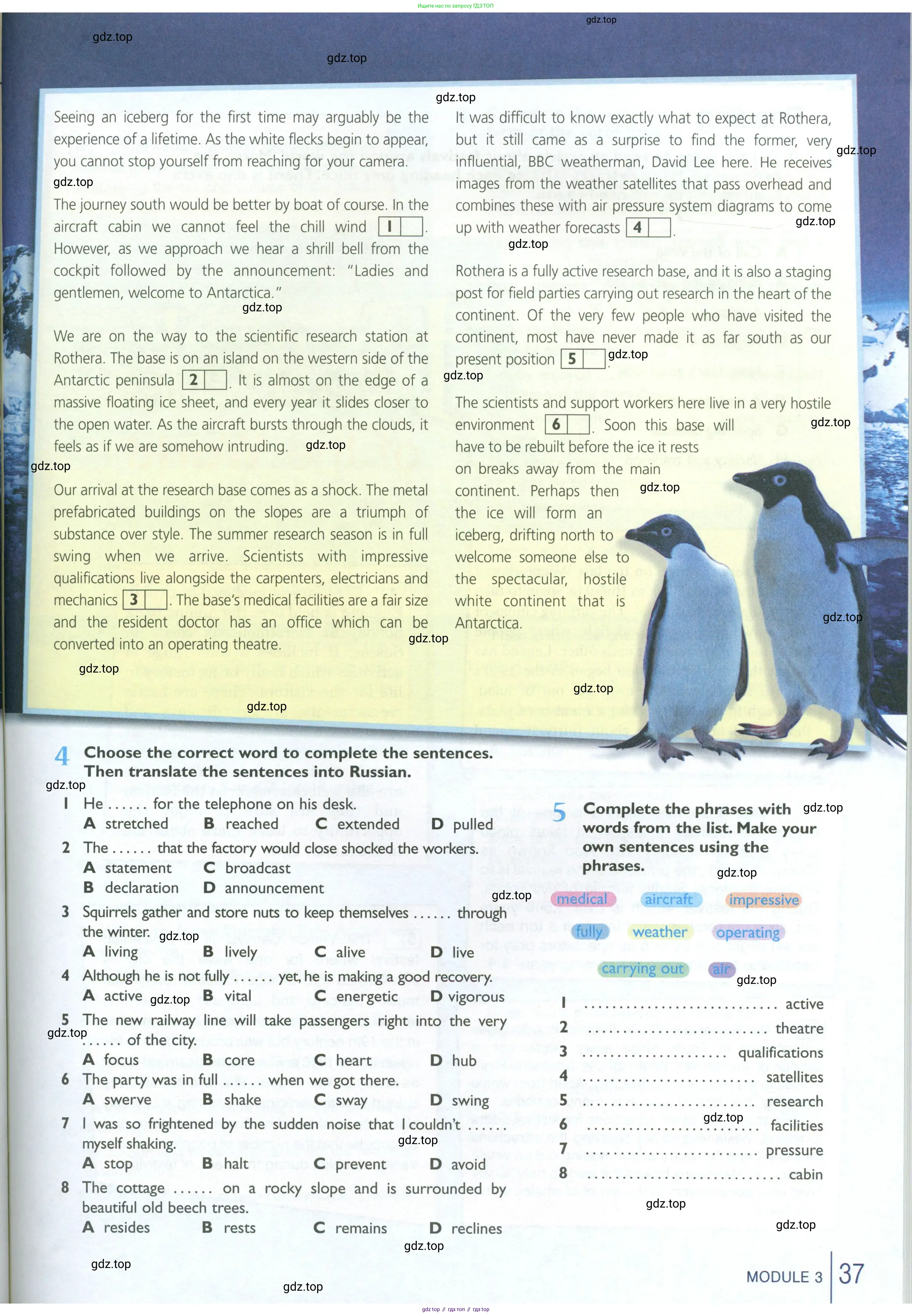 Английский язык (english), 10 класс Рабочая тетрадь (workbook), авторы: Баранова Ксения Михайловна (Baranova Ksenia), Дули Дженни (Dooley Jenny), Копылова Виктория Викторовна (Kopylova Victoria), Мильруд Радислав Петрович (Millrood Radislav), Эванс Вирджиния (Evans Virginia), издательство Просвещение, Москва, 2019, белого цвета, страница 37