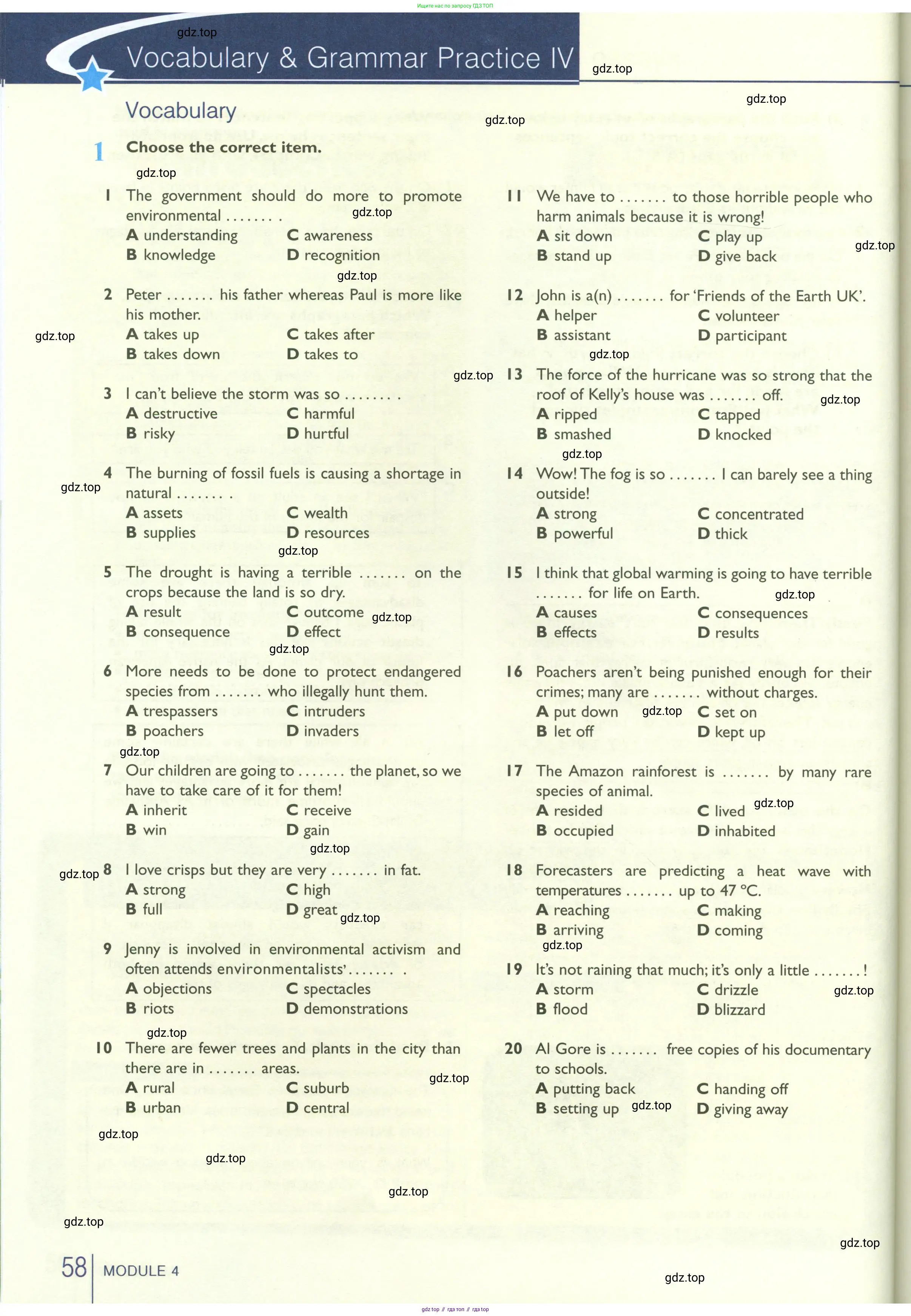 Английский язык (english), 10 класс Рабочая тетрадь (workbook), авторы: Баранова Ксения Михайловна (Baranova Ksenia), Дули Дженни (Dooley Jenny), Копылова Виктория Викторовна (Kopylova Victoria), Мильруд Радислав Петрович (Millrood Radislav), Эванс Вирджиния (Evans Virginia), издательство Просвещение, Москва, 2019, белого цвета, страница 58