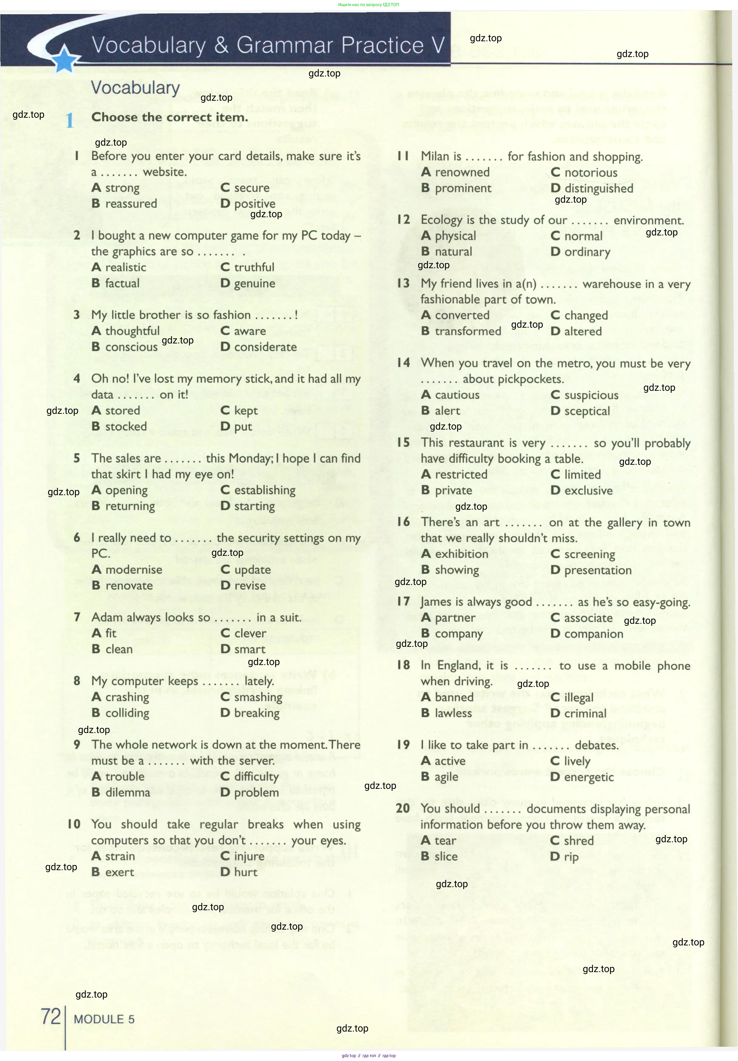 Английский язык (english), 10 класс Рабочая тетрадь (workbook), авторы: Баранова Ксения Михайловна (Baranova Ksenia), Дули Дженни (Dooley Jenny), Копылова Виктория Викторовна (Kopylova Victoria), Мильруд Радислав Петрович (Millrood Radislav), Эванс Вирджиния (Evans Virginia), издательство Просвещение, Москва, 2019, белого цвета, страница 72