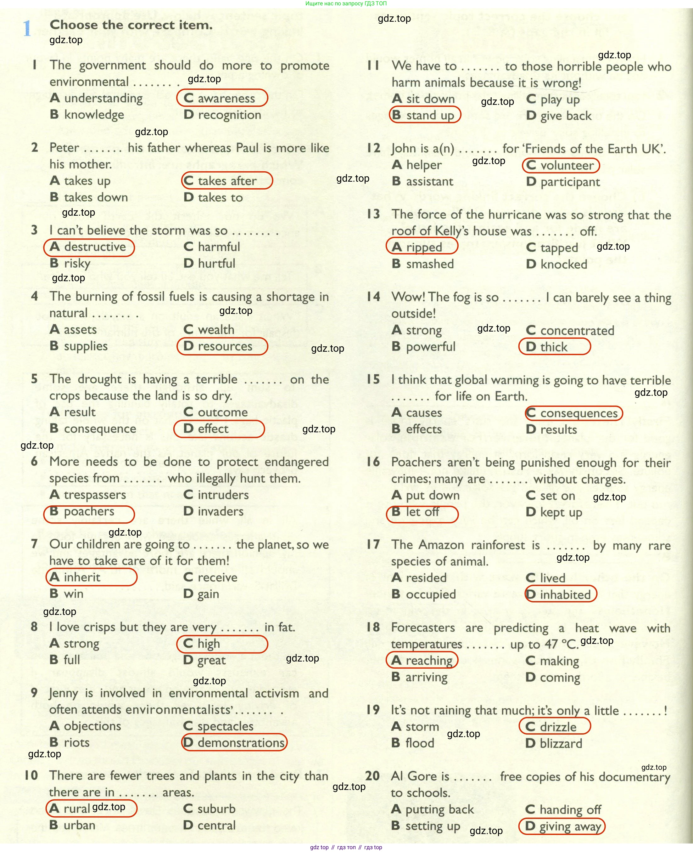 Английский язык (english), 10 класс Рабочая тетрадь (workbook), авторы: Баранова Ксения Михайловна (Baranova Ksenia), Дули Дженни (Dooley Jenny), Копылова Виктория Викторовна (Kopylova Victoria), Мильруд Радислав Петрович (Millrood Radislav), Эванс Вирджиния (Evans Virginia), издательство Просвещение, Москва, 2019, белого цвета, страница 58, номер 1, Решение 2