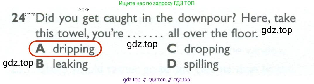 ГДЗ Английский язык (english), 10 класс Рабочая тетрадь (workbook), авторы: Баранова Ксения Михайловна (Baranova Ksenia), Дули Дженни (Dooley Jenny), Копылова Виктория Викторовна (Kopylova Victoria), Мильруд Радислав Петрович (Millrood Radislav), Эванс Вирджиния (Evans Virginia), издательство Просвещение, Москва, 2019, белого цвета, страница 84, номер 24, Решение 2