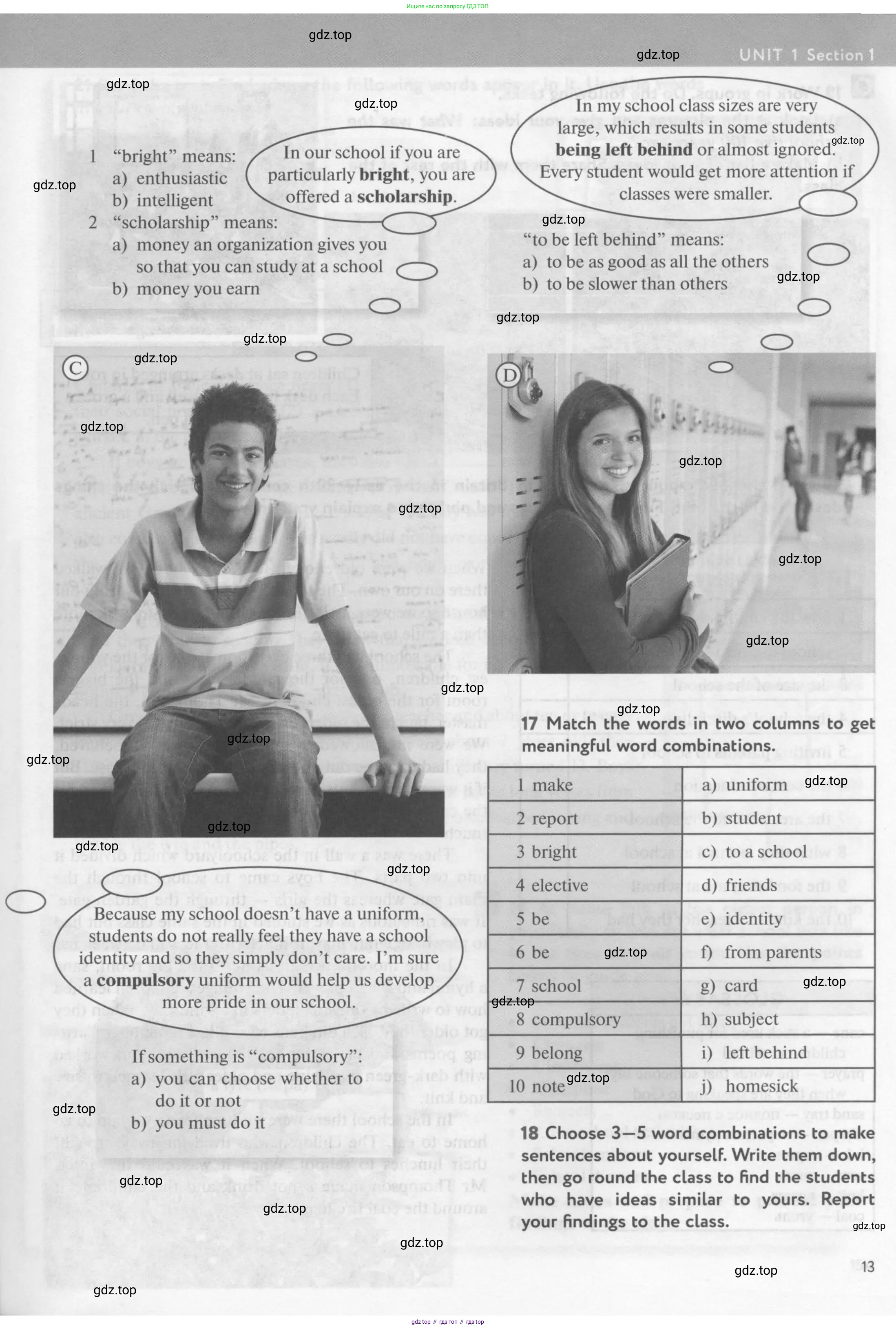 Английский язык (english), 10 класс Учебник (Student's book), авторы: Биболетова Мерем Забатовна, Бабушис Елена Евгеньевна, Снежко Надежда Дмитриевна, издательство Просвещение, Москва, 2016, оранжевого цвета, страница 13