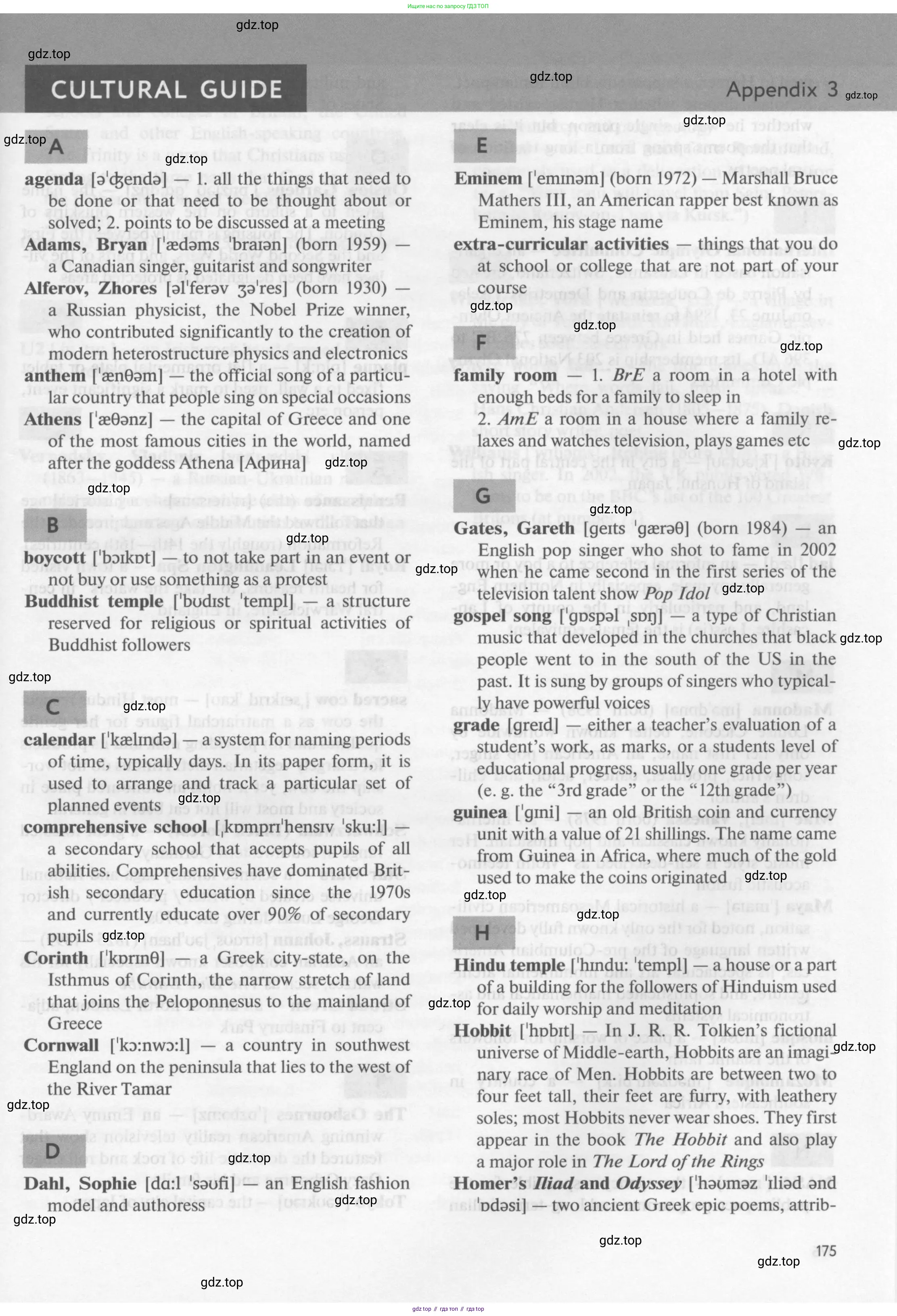Английский язык (english), 10 класс Учебник (Student's book), авторы: Биболетова Мерем Забатовна, Бабушис Елена Евгеньевна, Снежко Надежда Дмитриевна, издательство Просвещение, Москва, 2016, оранжевого цвета, страница 175