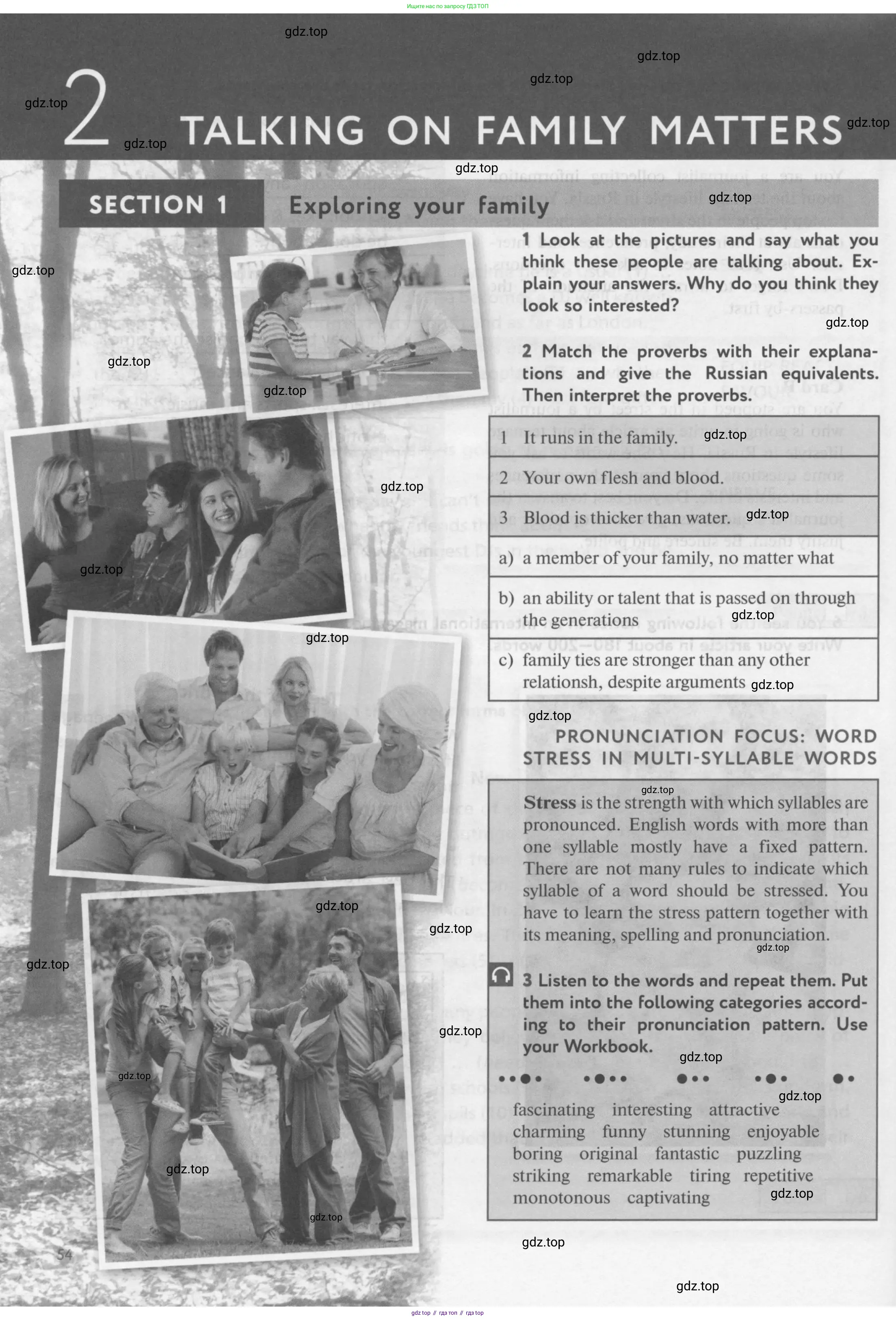 Английский язык (english), 10 класс Учебник (Student's book), авторы: Биболетова Мерем Забатовна, Бабушис Елена Евгеньевна, Снежко Надежда Дмитриевна, издательство Просвещение, Москва, 2016, оранжевого цвета, страница 54