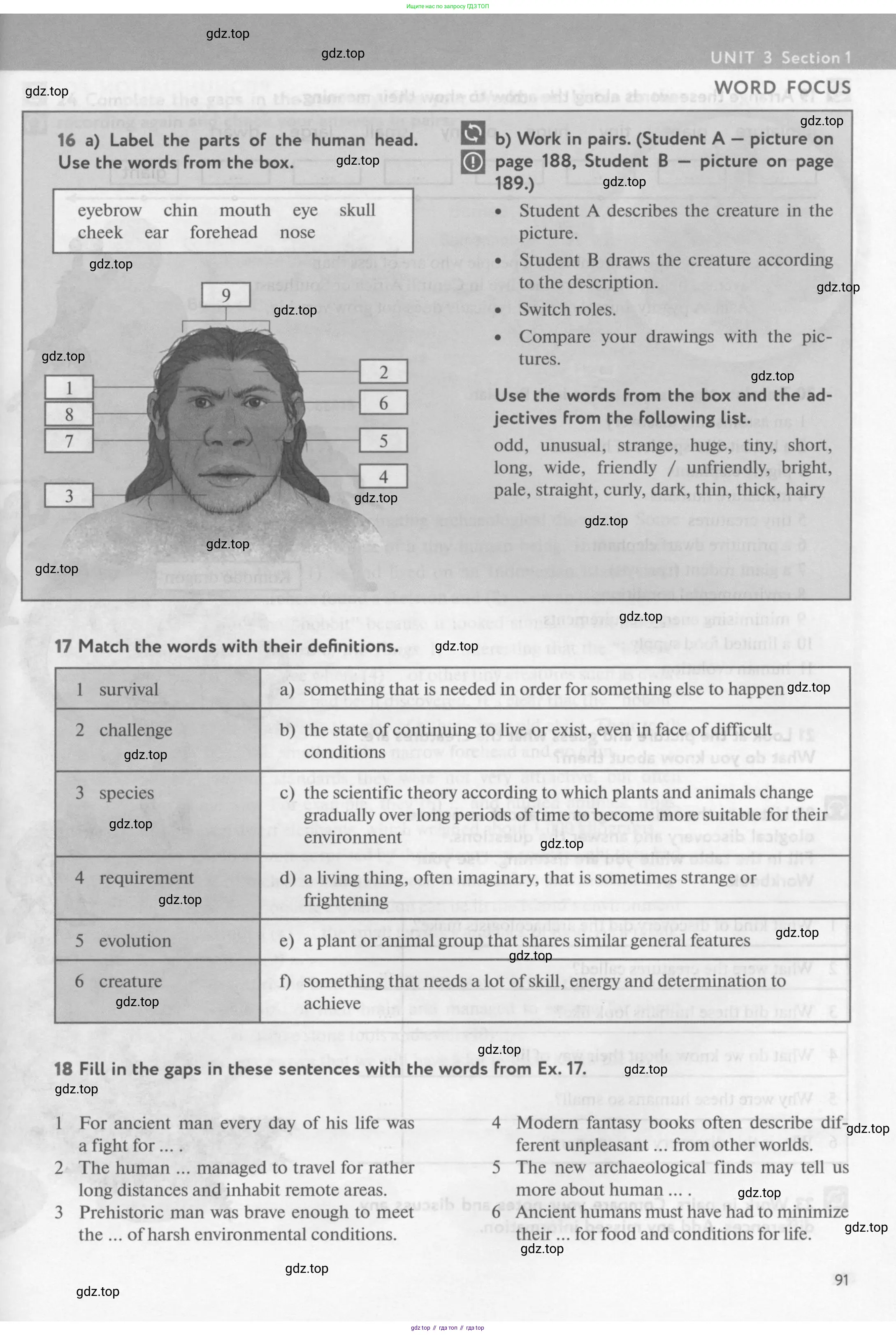 Английский язык (english), 10 класс Учебник (Student's book), авторы: Биболетова Мерем Забатовна, Бабушис Елена Евгеньевна, Снежко Надежда Дмитриевна, издательство Просвещение, Москва, 2016, оранжевого цвета, страница 91