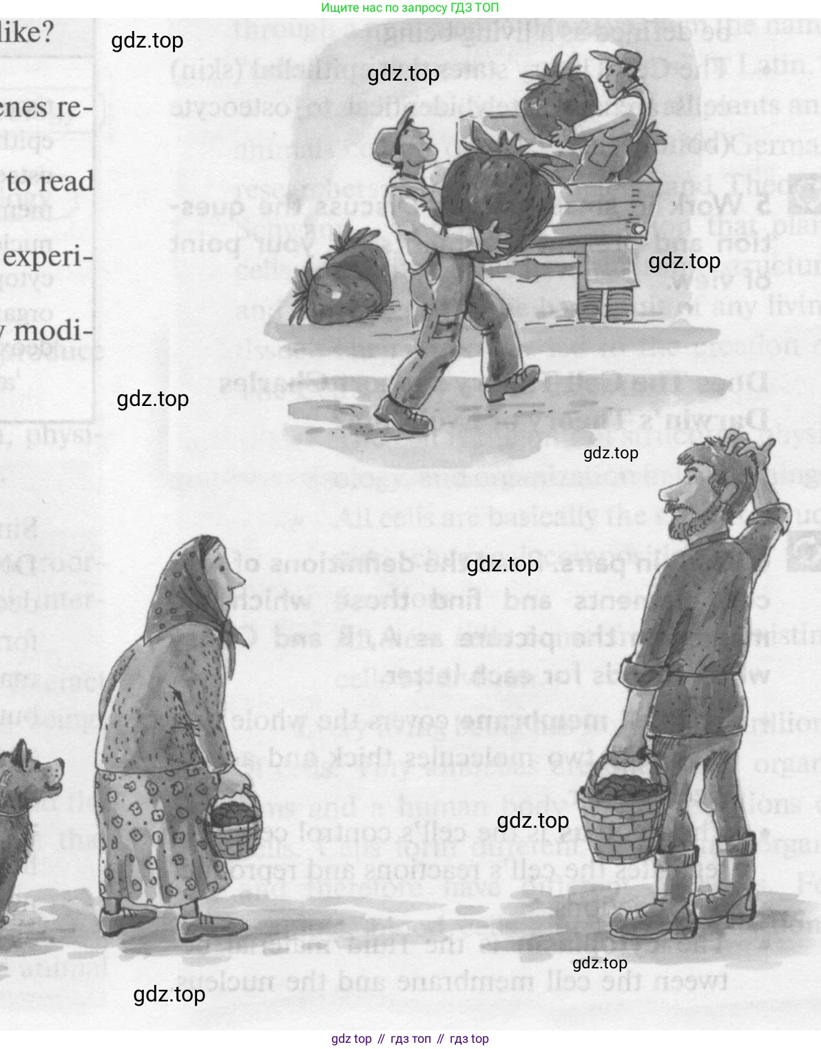 ГДЗ Английский язык (english), 10 класс Учебник (Student's book), авторы: Биболетова Мерем Забатовна, Бабушис Елена Евгеньевна, Снежко Надежда Дмитриевна, издательство Просвещение, Москва, 2016, оранжевого цвета, страница 166, номер 9, Условие (продолжение 2)