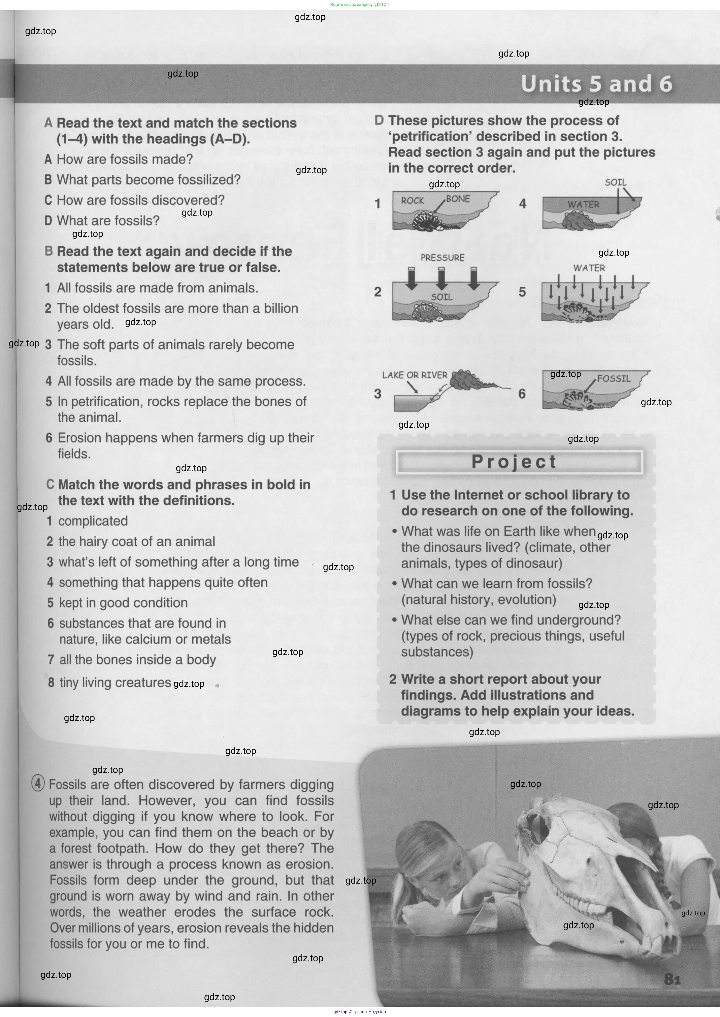 Английский язык (english), 10 класс Учебник (Student's book), авторы: Комарова Юлия Александровна, Ларионова Ирина Владимировна, Араванис Розмари, Вассилакис Джордж, издательство Русское слово, Москва, 2015, страница 81