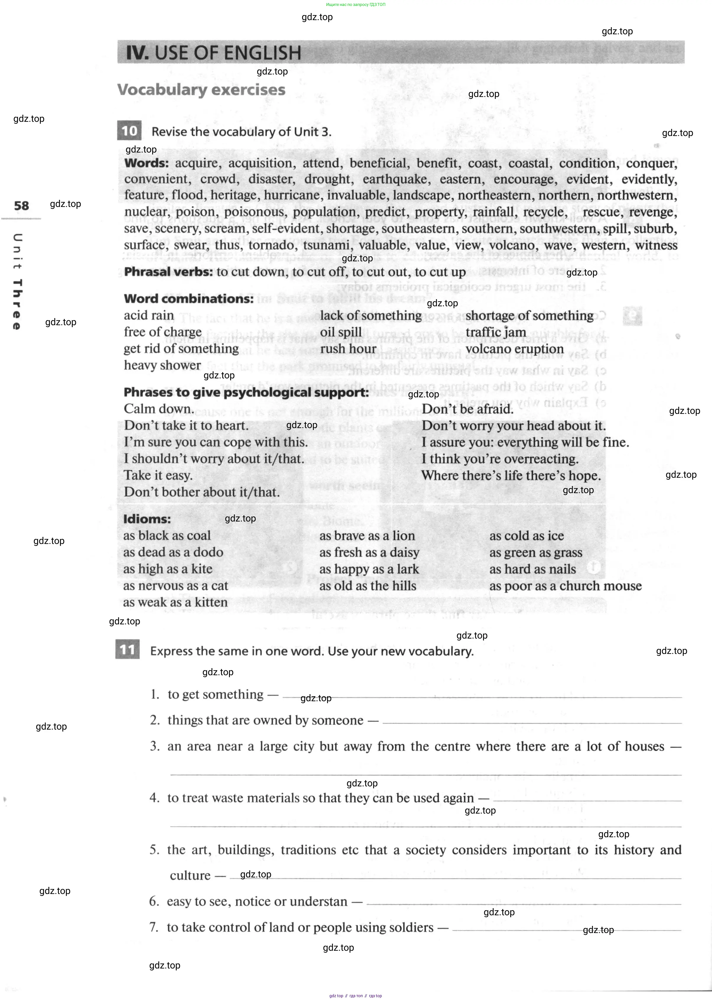 Английский язык (english), 10 класс рабочая тетрадь, авторы: Афанасьева Ольга Васильевна (Afanasyeva Olga), Михеева Ирина Владимировна (Mikheeva Irina), Баранова Ксения Михайловна (Baranova Ksenia), издательство Просвещение, Москва, 2016, белого цвета, страница 58