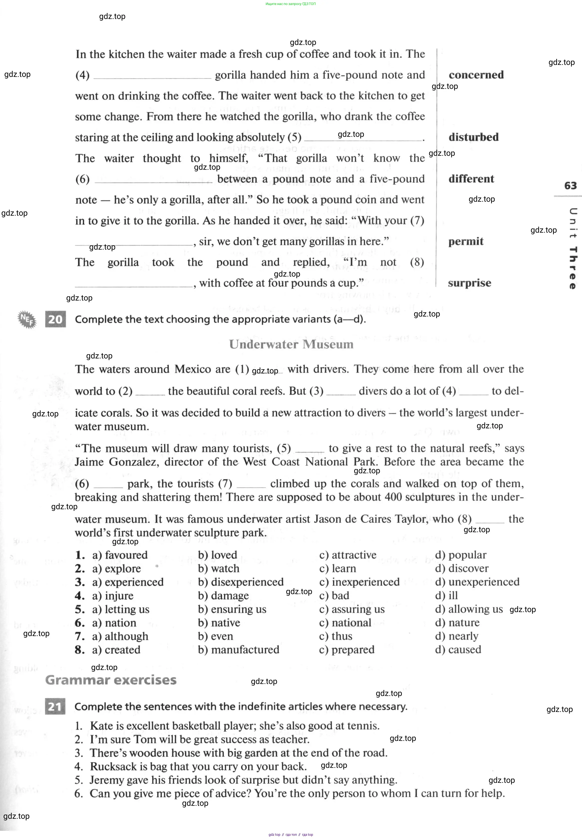 Английский язык (english), 10 класс рабочая тетрадь, авторы: Афанасьева Ольга Васильевна (Afanasyeva Olga), Михеева Ирина Владимировна (Mikheeva Irina), Баранова Ксения Михайловна (Baranova Ksenia), издательство Просвещение, Москва, 2016, белого цвета, страница 63