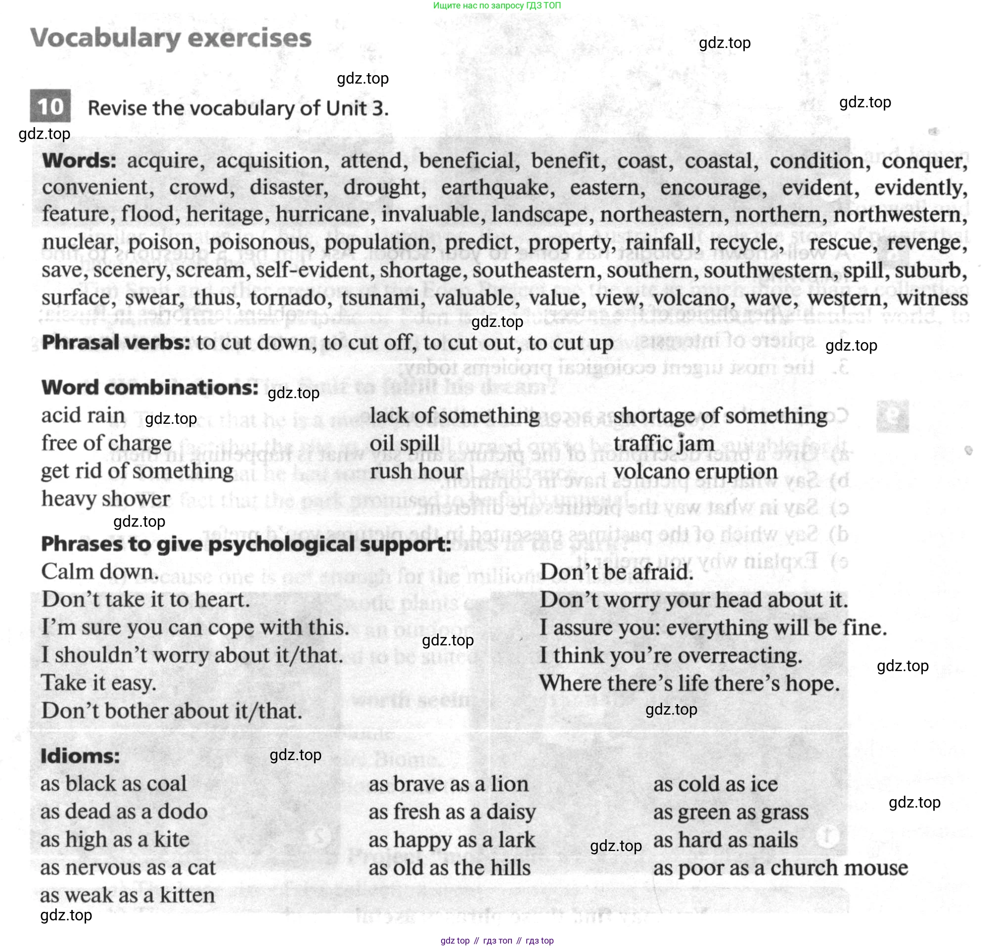 ГДЗ Английский язык (english), 10 класс рабочая тетрадь, авторы: Афанасьева Ольга Васильевна (Afanasyeva Olga), Михеева Ирина Владимировна (Mikheeva Irina), Баранова Ксения Михайловна (Baranova Ksenia), издательство Просвещение, Москва, 2016, белого цвета, страница 58, номер 10, Условие
