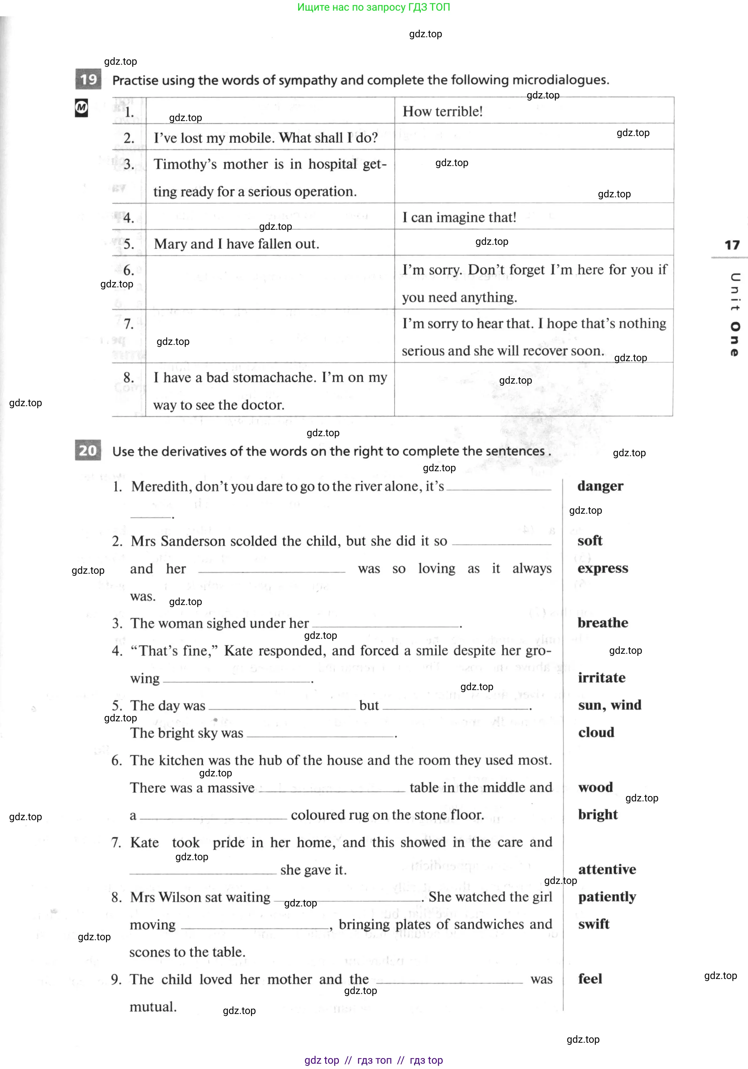 Английский язык (english), 10 класс рабочая тетрадь, авторы: Афанасьева Ольга Васильевна (Afanasyeva Olga), Михеева Ирина Владимировна (Mikheeva Irina), Баранова Ксения Михайловна (Baranova Ksenia), издательство Просвещение, Москва, 2016, белого цвета, страница 17