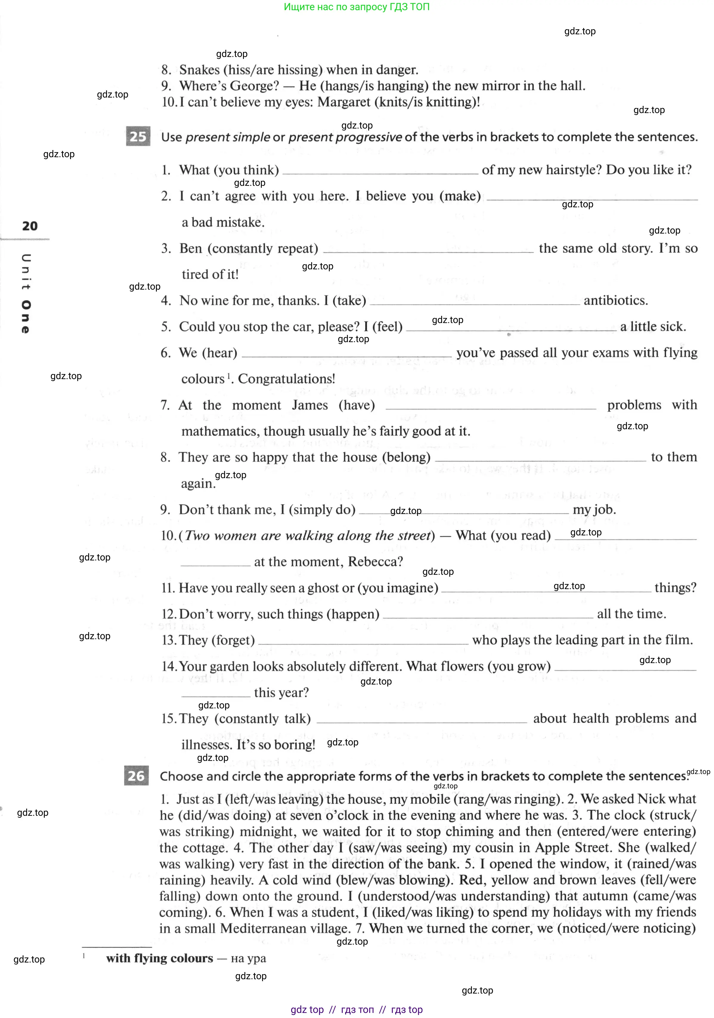 Английский язык (english), 10 класс рабочая тетрадь, авторы: Афанасьева Ольга Васильевна (Afanasyeva Olga), Михеева Ирина Владимировна (Mikheeva Irina), Баранова Ксения Михайловна (Baranova Ksenia), издательство Просвещение, Москва, 2016, белого цвета, страница 20