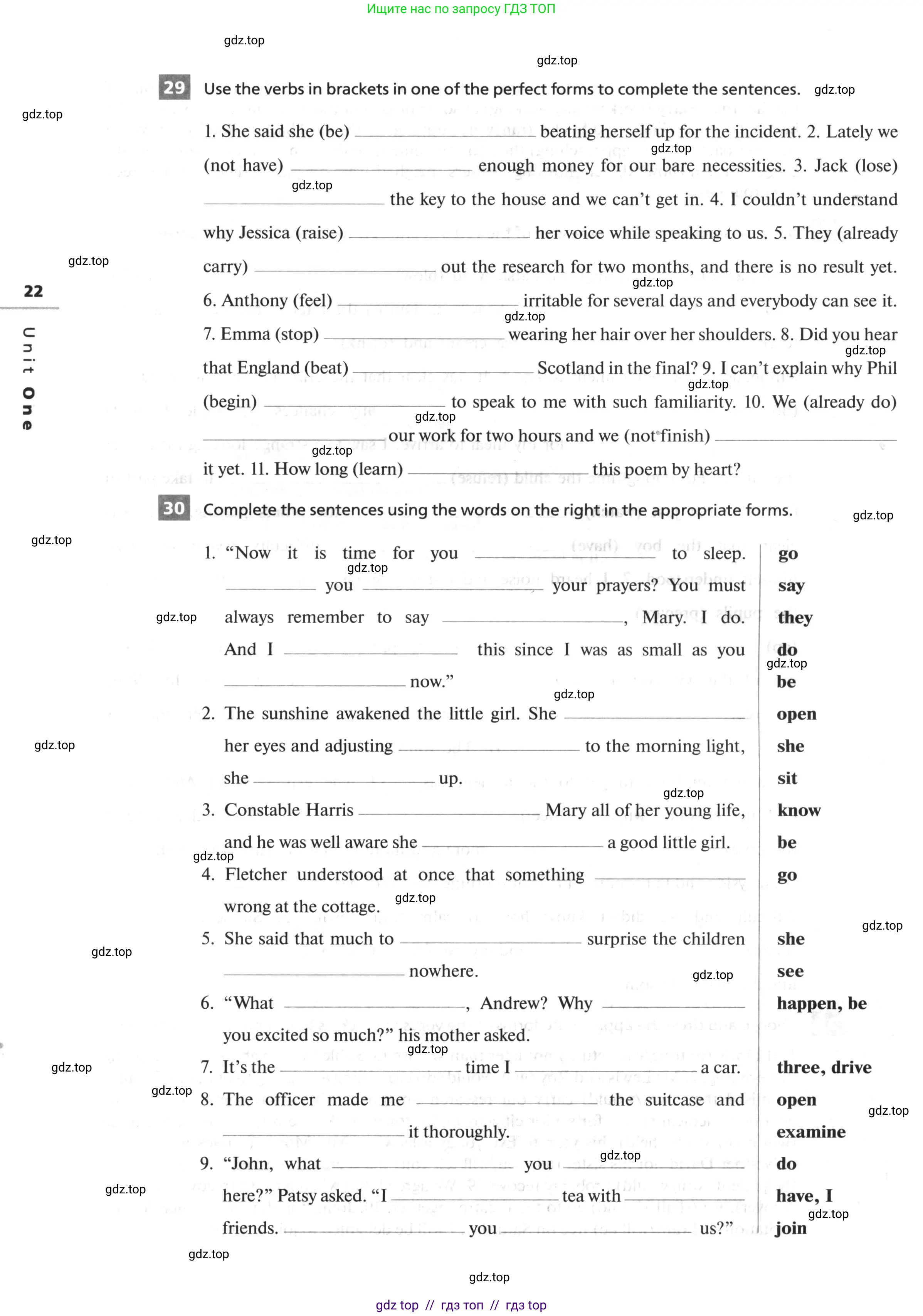 Английский язык (english), 10 класс рабочая тетрадь, авторы: Афанасьева Ольга Васильевна (Afanasyeva Olga), Михеева Ирина Владимировна (Mikheeva Irina), Баранова Ксения Михайловна (Baranova Ksenia), издательство Просвещение, Москва, 2016, белого цвета, страница 22