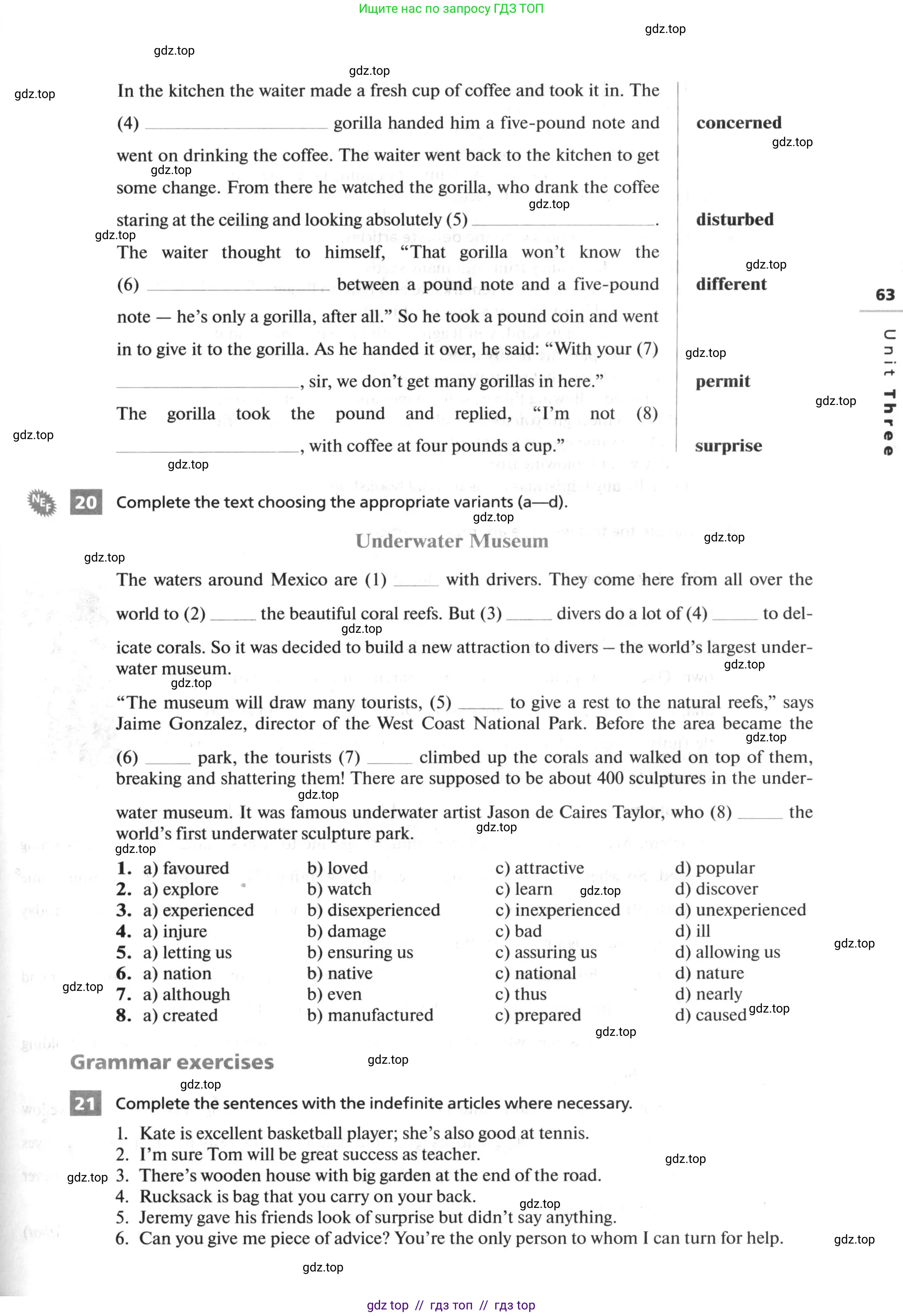 Английский язык (english), 10 класс рабочая тетрадь, авторы: Афанасьева Ольга Васильевна (Afanasyeva Olga), Михеева Ирина Владимировна (Mikheeva Irina), Баранова Ксения Михайловна (Baranova Ksenia), издательство Просвещение, Москва, 2016, белого цвета, страница 63