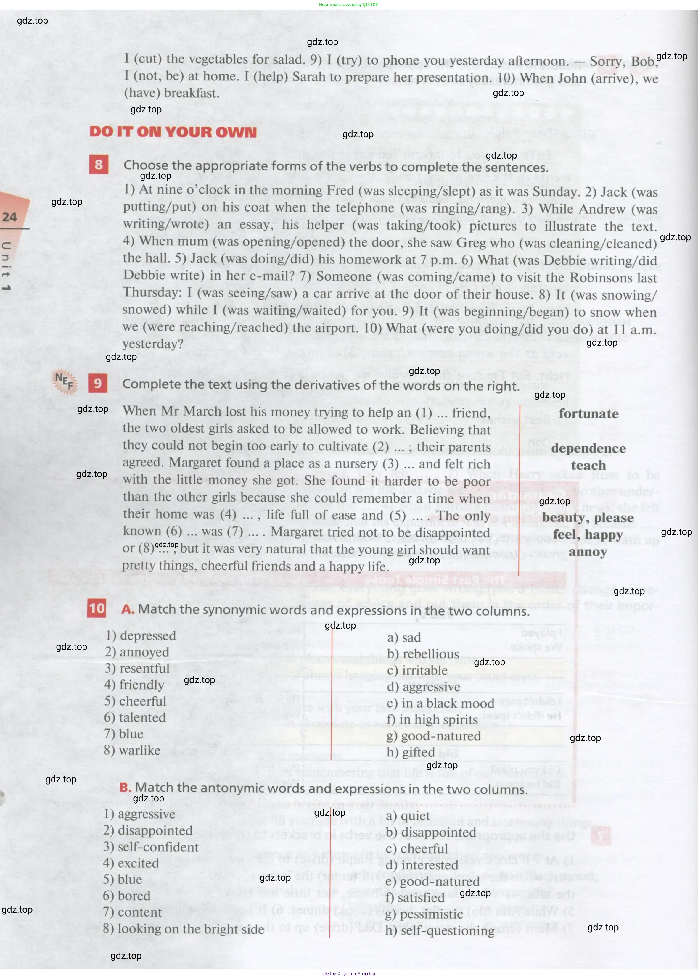 Английский язык (english), 10 класс Учебник, авторы: Афанасьева Ольга Васильевна (Afanasyeva Olga), Михеева Ирина Владимировна (Mikheeva Irina), Баранова Ксения Михайловна (Baranova Ksenia), издательство Просвещение, Москва, 2016, белого цвета, страница 24