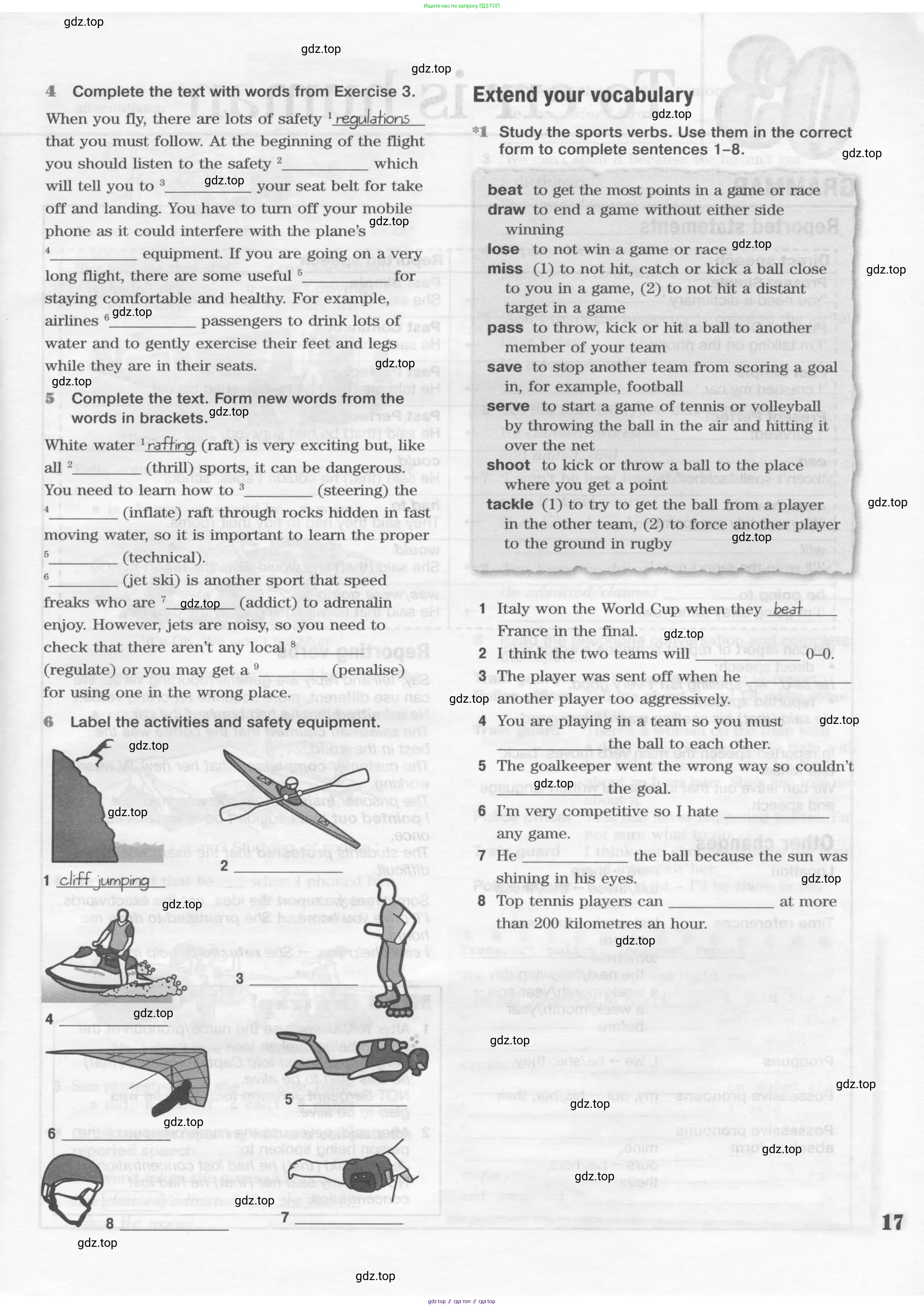 Английский язык (english), 10 класс Рабочая тетрадь (workbook), авторы: Вербицкая Мария Валерьевна (Verbitskaya Maria), Уайт Линдсей (Lindsay White), Фрикер Род (Fricker Rod), Миндрул Ольга Сергеевна (Mindrul Olga), издательство Просвещение, Москва, 2014, зелёного цвета, страница 17