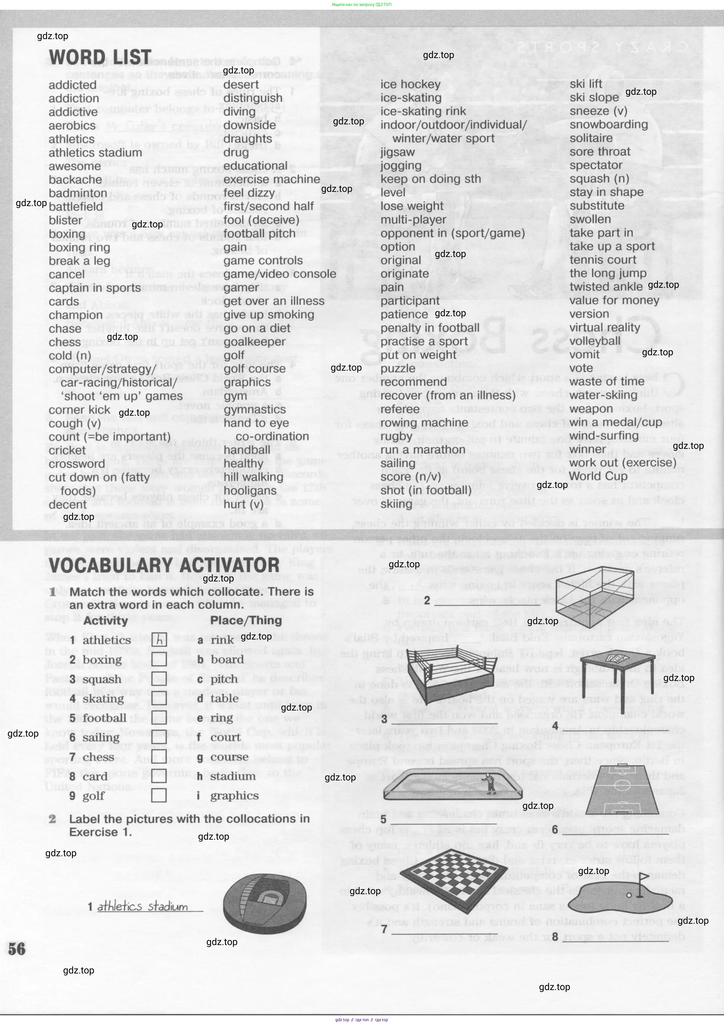 Английский язык (english), 10 класс Рабочая тетрадь (workbook), авторы: Вербицкая Мария Валерьевна (Verbitskaya Maria), Уайт Линдсей (Lindsay White), Фрикер Род (Fricker Rod), Миндрул Ольга Сергеевна (Mindrul Olga), издательство Просвещение, Москва, 2014, зелёного цвета, страница 56