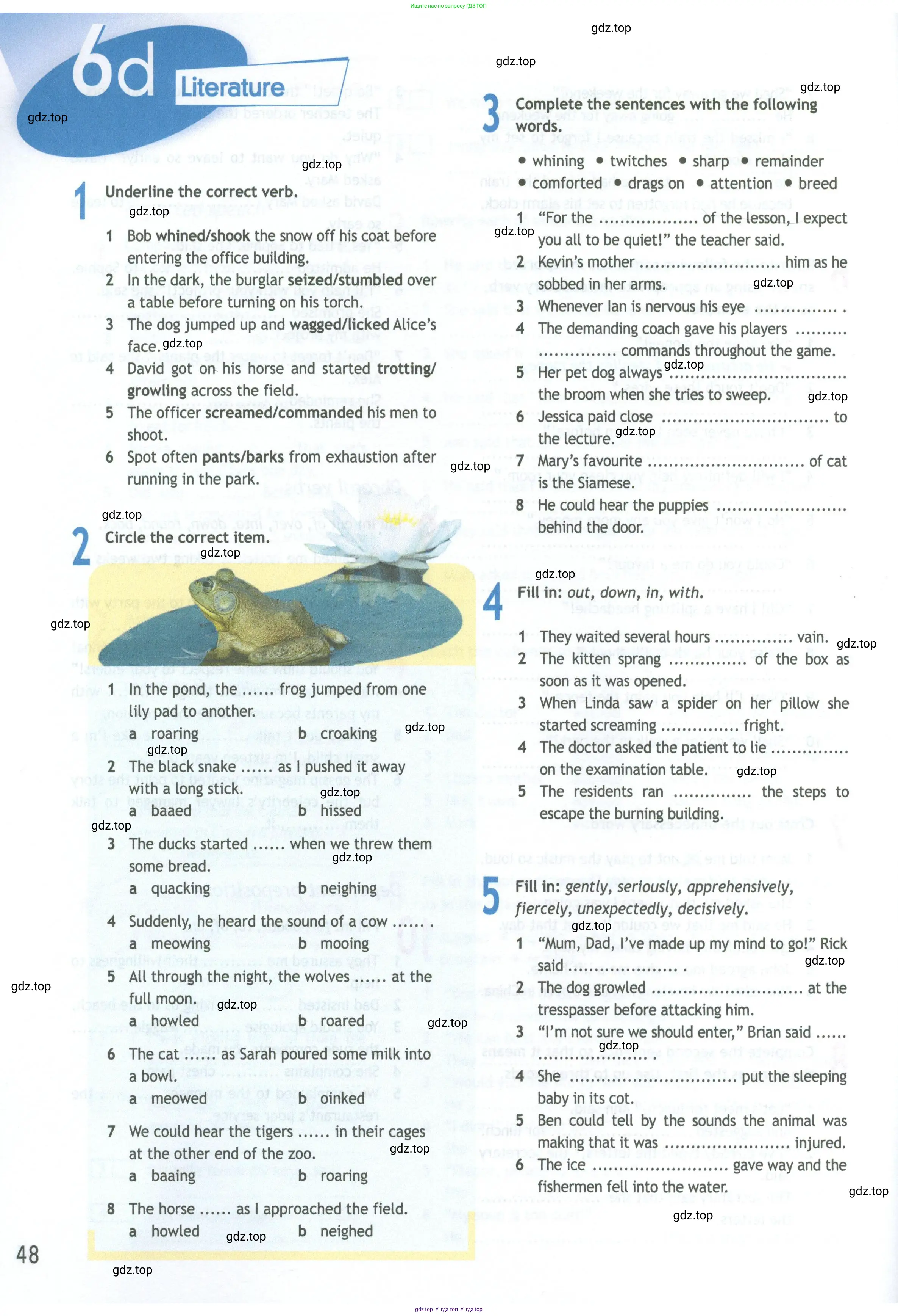 Английский язык (english), 11 класс Рабочая тетрадь (workbook), авторы: Афанасьева Ольга Васильевна (Afanasyeva Olga), Дули Дженни (Dooley Jenny), Михеева Ирина Владимировна (Mikheeva Irina), Оби Боб (Obee Bob), Эванс Вирджиния (Evans Virginia), издательство Просвещение, Москва, 2019, белого цвета, страница 48