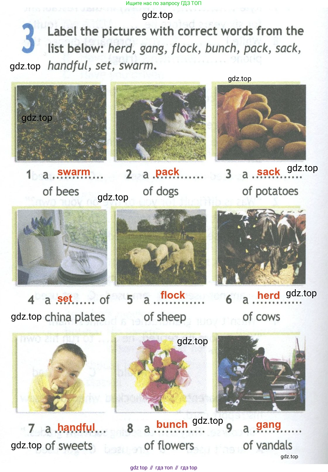 Английский язык (english), 11 класс Рабочая тетрадь (workbook), авторы: Афанасьева Ольга Васильевна (Afanasyeva Olga), Дули Дженни (Dooley Jenny), Михеева Ирина Владимировна (Mikheeva Irina), Оби Боб (Obee Bob), Эванс Вирджиния (Evans Virginia), издательство Просвещение, Москва, 2019, белого цвета, страница 8, номер 3, Решение 2