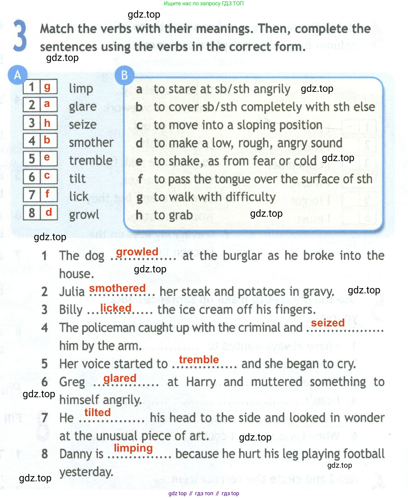 Английский язык (english), 11 класс Рабочая тетрадь (workbook), авторы: Афанасьева Ольга Васильевна (Afanasyeva Olga), Дули Дженни (Dooley Jenny), Михеева Ирина Владимировна (Mikheeva Irina), Оби Боб (Obee Bob), Эванс Вирджиния (Evans Virginia), издательство Просвещение, Москва, 2019, белого цвета, страница 24, номер 3, Решение 2