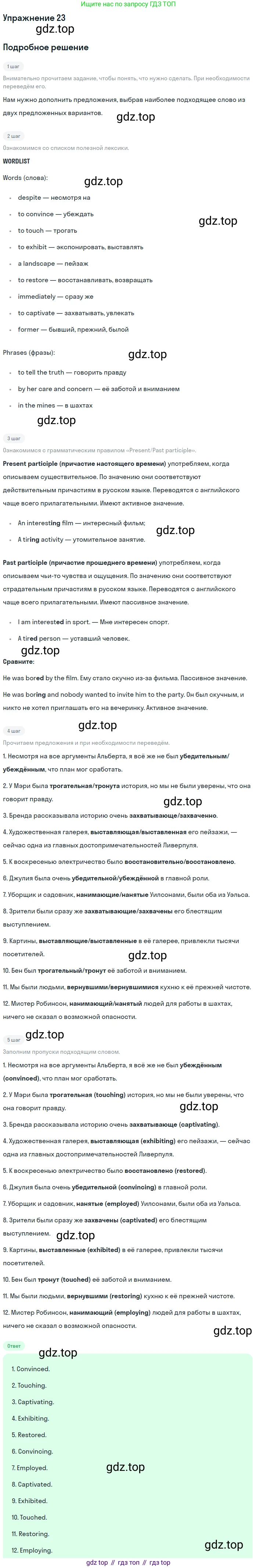 Английский язык (english), 11 класс рабочая тетрадь, авторы: Афанасьева Ольга Васильевна (Afanasyeva Olga), Михеева Ирина Владимировна (Mikheeva Irina), Баранова Ксения Михайловна (Baranova Ksenia), издательство Просвещение, Москва, 2016, белого цвета, страница 62, номер 23, Решение