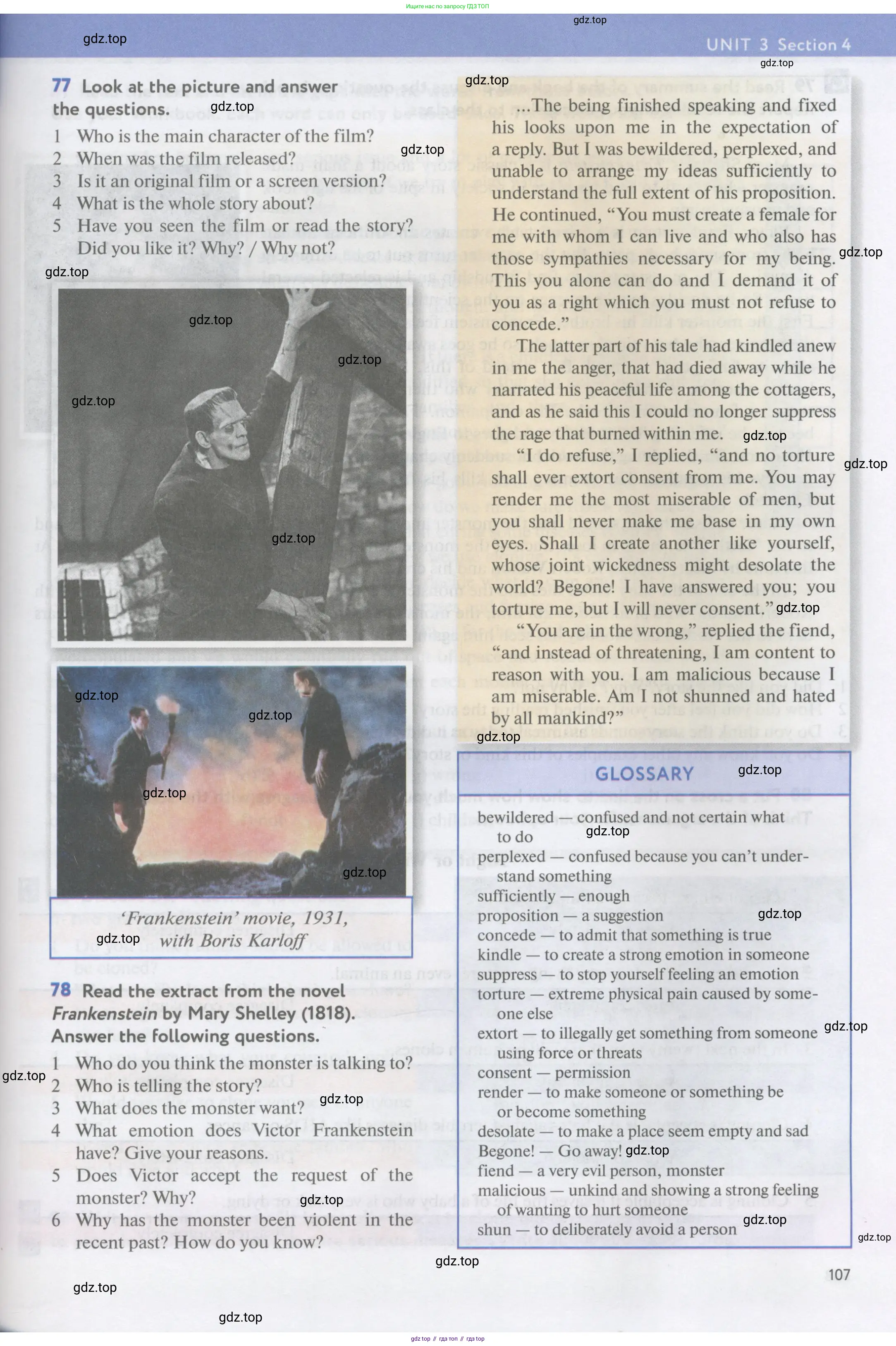 Английский язык (english), 11 класс Учебник (Student's book), авторы: Биболетова Мерем Забатовна, Бабушис Елена Евгеньевна, Снежко Надежда Дмитриевна, издательство Просвещение, Москва, 2017, жёлтого цвета, страница 107