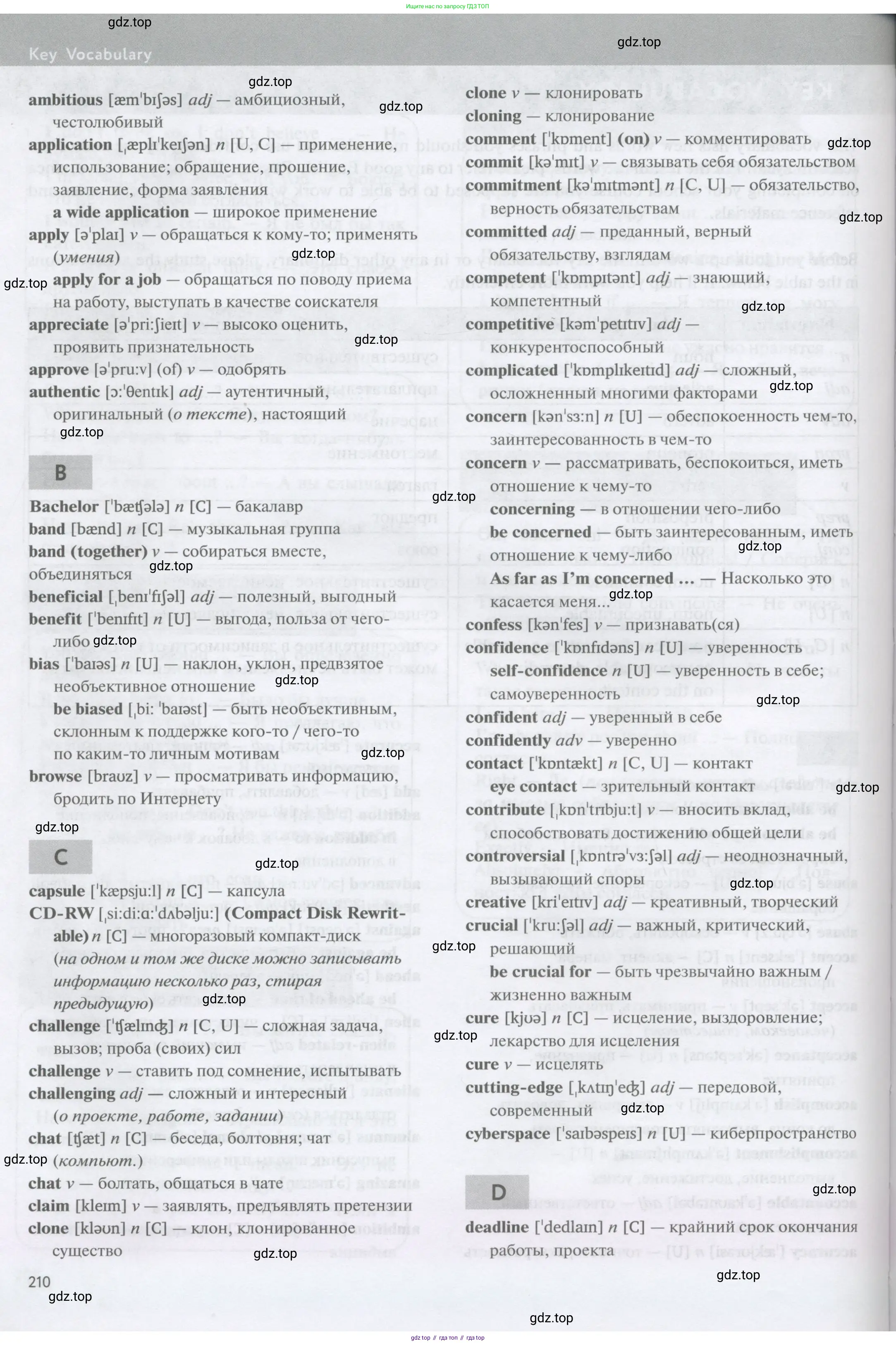 Английский язык (english), 11 класс Учебник (Student's book), авторы: Биболетова Мерем Забатовна, Бабушис Елена Евгеньевна, Снежко Надежда Дмитриевна, издательство Просвещение, Москва, 2017, жёлтого цвета, страница 210