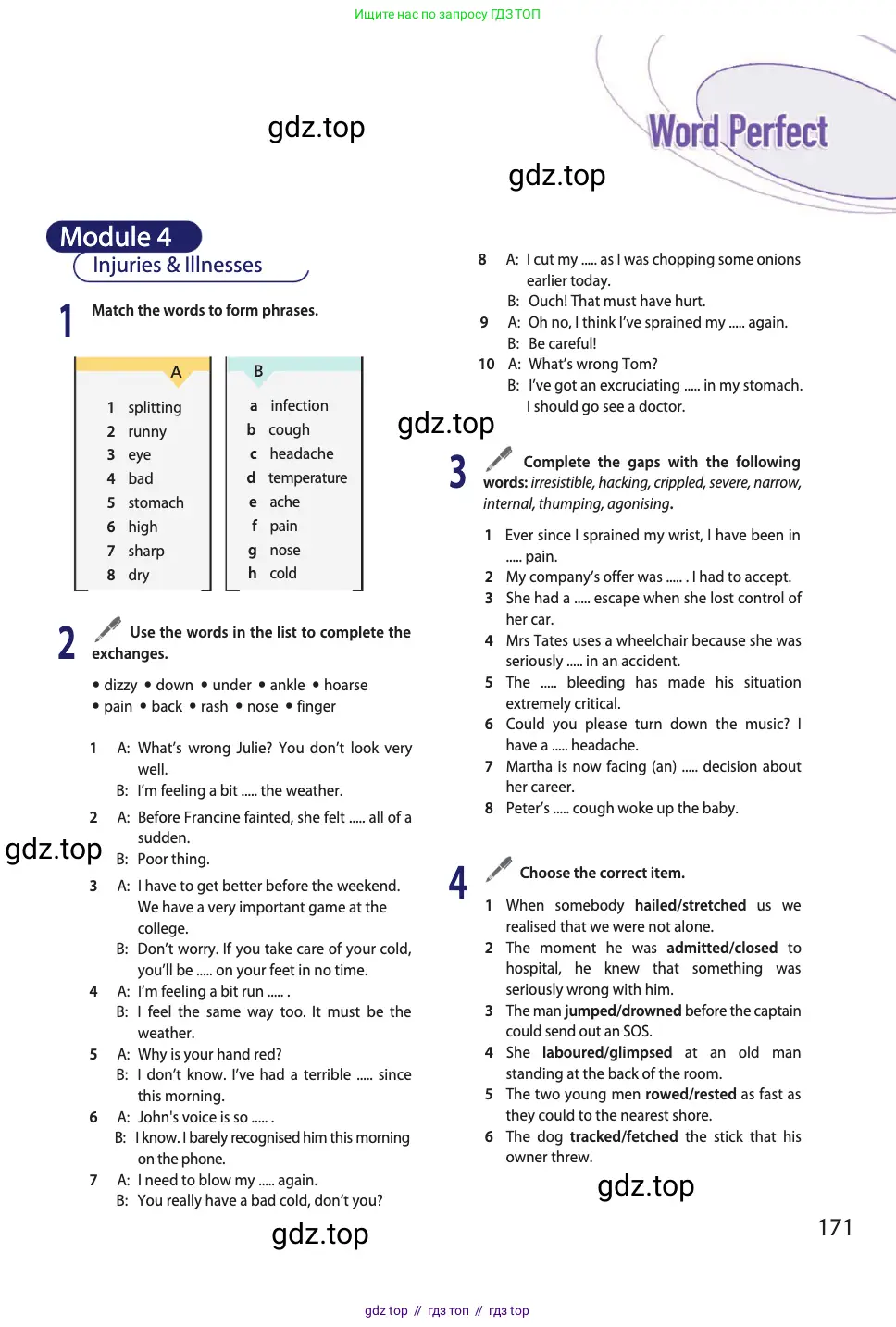 Английский язык (english), 11 класс Учебник (Student's book), авторы: Афанасьева Ольга Васильевна (Afanasyeva Olga), Дули Дженни (Dooley Jenny), Михеева Ирина Владимировна (Mikheeva Irina), Оби Боб (Obee Bob), Эванс Вирджиния (Evans Virginia), издательство Просвещение, Москва, 2019, страница 171