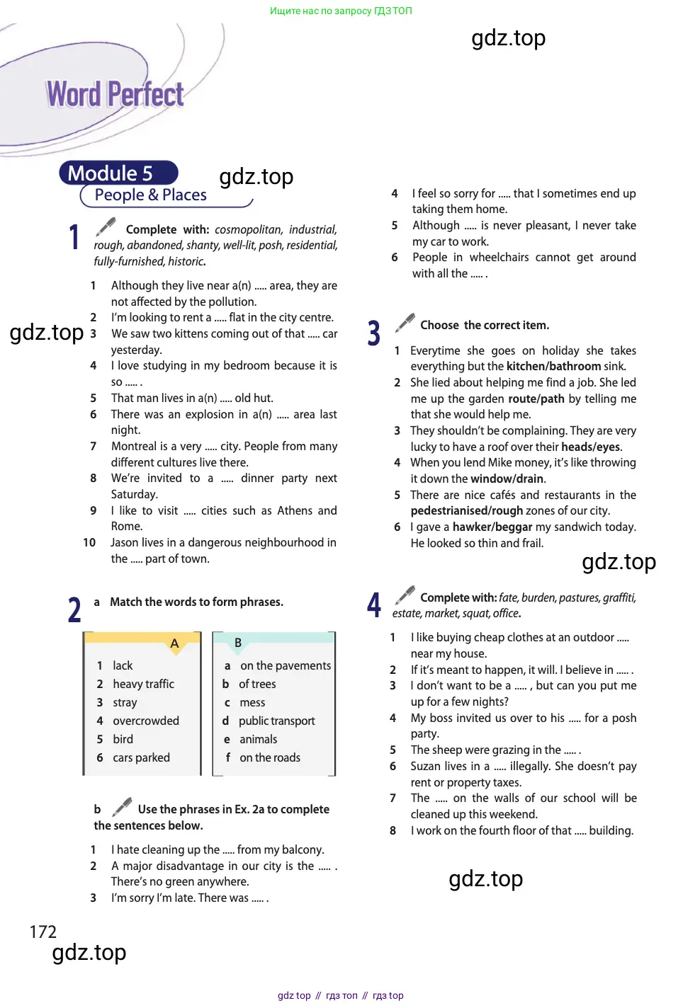 Английский язык (english), 11 класс Учебник (Student's book), авторы: Афанасьева Ольга Васильевна (Afanasyeva Olga), Дули Дженни (Dooley Jenny), Михеева Ирина Владимировна (Mikheeva Irina), Оби Боб (Obee Bob), Эванс Вирджиния (Evans Virginia), издательство Просвещение, Москва, 2019, страница 172
