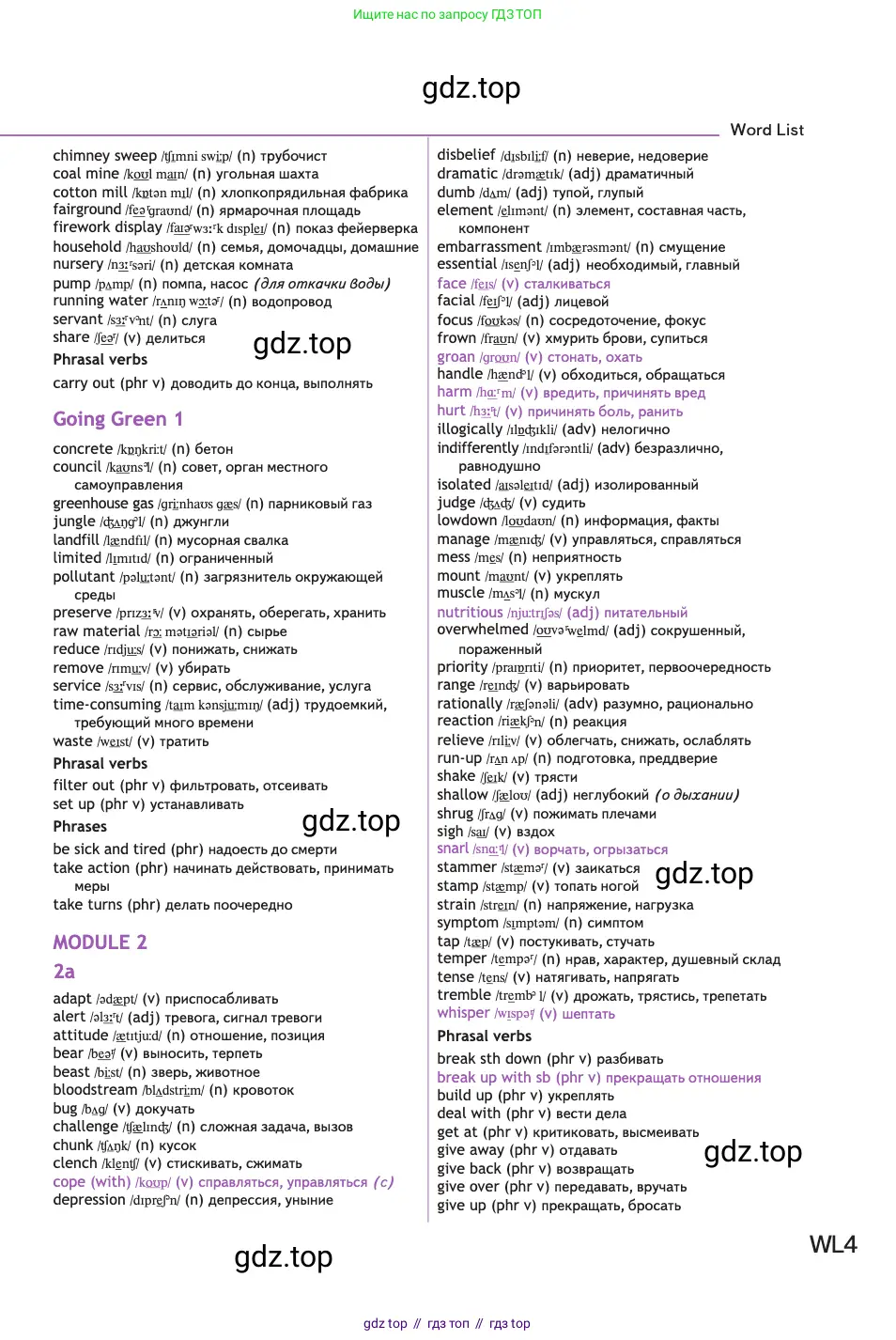 Английский язык (english), 11 класс Учебник (Student's book), авторы: Афанасьева Ольга Васильевна (Afanasyeva Olga), Дули Дженни (Dooley Jenny), Михеева Ирина Владимировна (Mikheeva Irina), Оби Боб (Obee Bob), Эванс Вирджиния (Evans Virginia), издательство Просвещение, Москва, 2019, страница 232