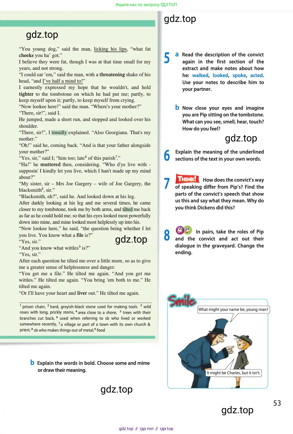 Английский язык (english), 11 класс Учебник (Student's book), авторы: Афанасьева Ольга Васильевна (Afanasyeva Olga), Дули Дженни (Dooley Jenny), Михеева Ирина Владимировна (Mikheeva Irina), Оби Боб (Obee Bob), Эванс Вирджиния (Evans Virginia), издательство Просвещение, Москва, 2019, страница 53
