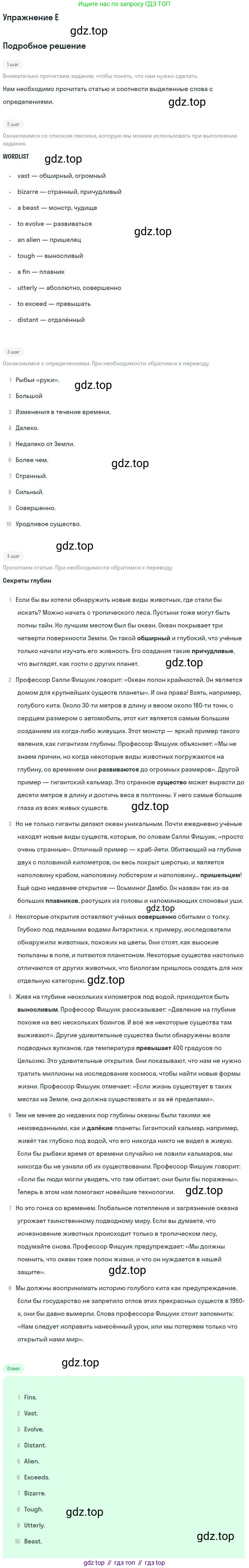 ГДЗ Английский язык (english), 11 класс Учебник (Student's book), авторы: Комарова Юлия Александровна, Ларионова Ирина Владимировна, Араванис Розмари, Кокрейн Стюарт, издательство Русское слово, Москва, 2020, страница 113, номер E, Решение