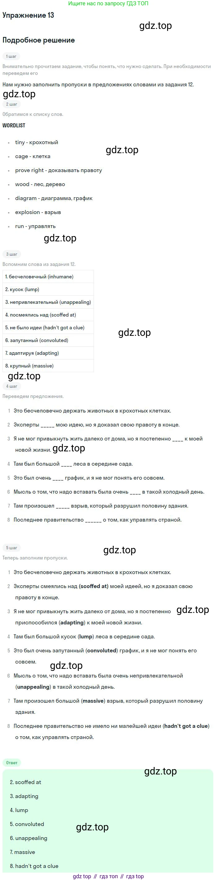 Английский язык (english), 11 класс Рабочая тетрадь (workbook), авторы: Вербицкая Мария Валерьевна (Verbitskaya Maria), Фрикер Род (Fricker Rod), Миндрул Ольга Сергеевна (Mindrul Olga), издательство Просвещение, Москва, 2016, страница 22, номер 13, Решение