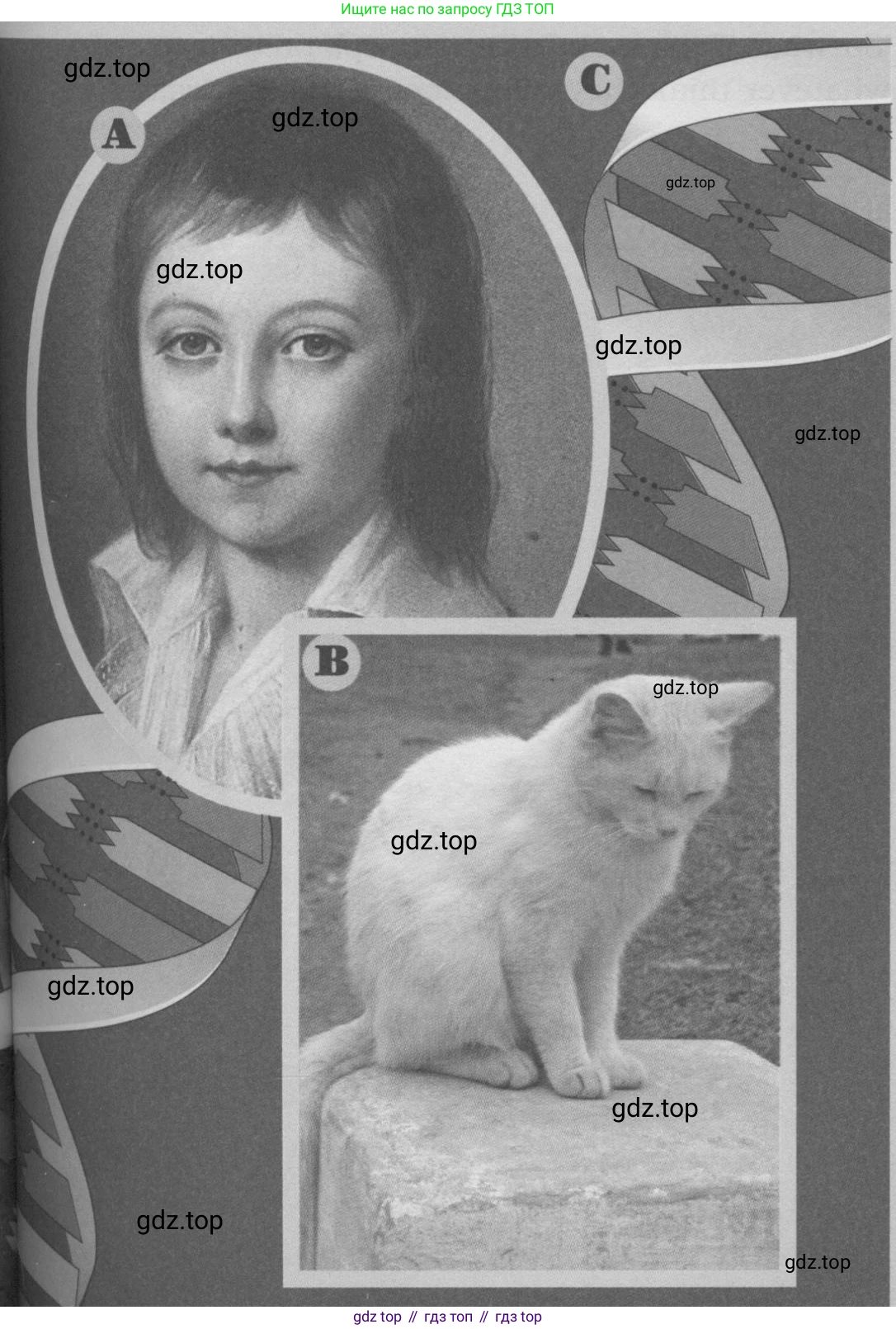 Английский язык (english), 11 класс Учебник (Student's book), авторы: Вербицкая Мария Валерьевна (Verbitskaya Maria), Каминс Карр Джейн (Comyns Carr Jane), Парсонс Дженнифер (Parsons Jennifer), Миндрул Ольга Сергеевна (Mindrul Olga), издательство Просвещение, Москва, 2015, голубого цвета, страница 92, номер 2, Условие (продолжение 3)