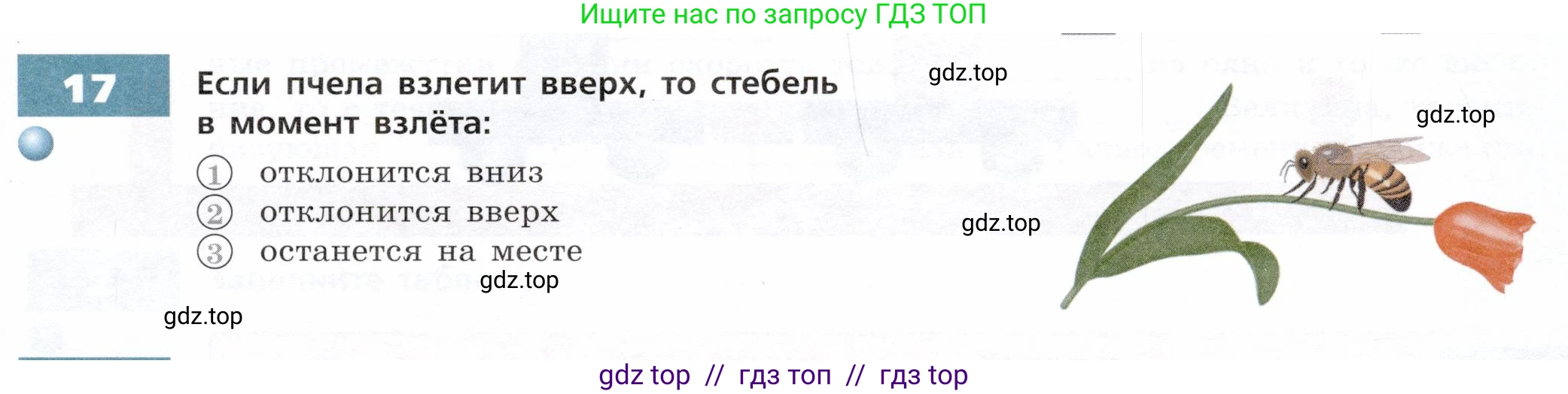 Физика, 7 класс Тетрадь-тренажёр, авторы: Артеменков Денис Александрович, Белага Виктория Владимировна, Воронцова Наталия Игоревна, Ломаченков Иван Алексеевич, Панебратцев Юрий Анатольевич, издательство Просвещение, Москва, 2024, страница 25, номер 17, Условие