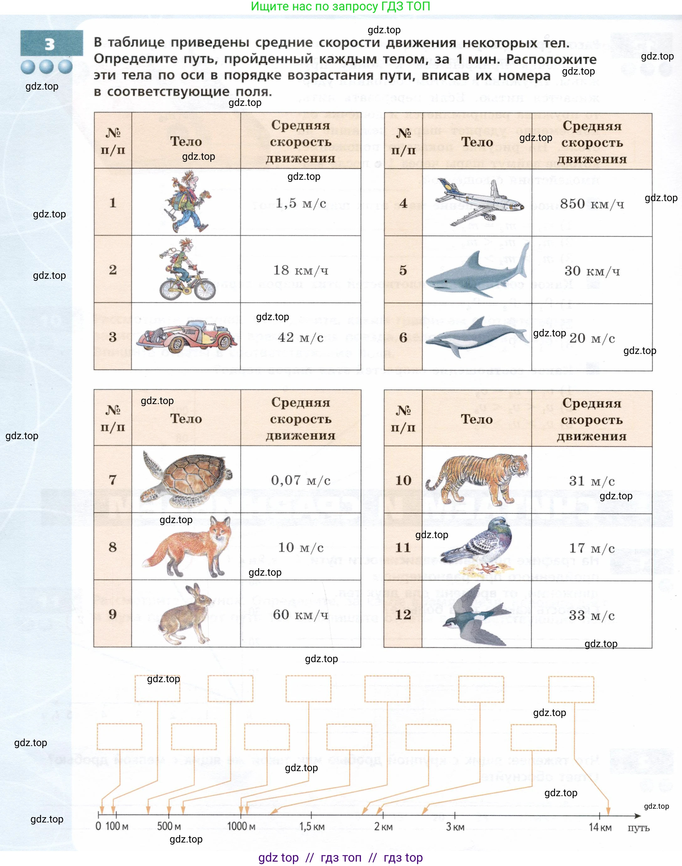 Физика, 7 класс Тетрадь-тренажёр, авторы: Артеменков Денис Александрович, Белага Виктория Владимировна, Воронцова Наталия Игоревна, Ломаченков Иван Алексеевич, Панебратцев Юрий Анатольевич, издательство Просвещение, Москва, 2024, страница 34, номер 3, Условие