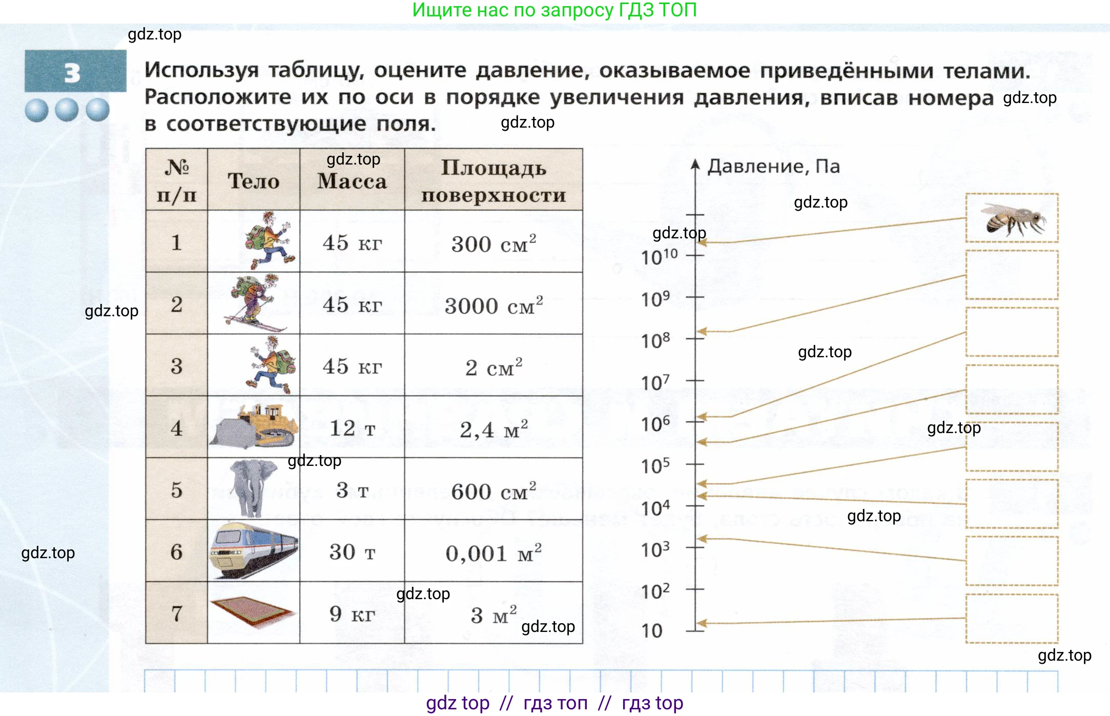 Физика, 7 класс Тетрадь-тренажёр, авторы: Артеменков Денис Александрович, Белага Виктория Владимировна, Воронцова Наталия Игоревна, Ломаченков Иван Алексеевич, Панебратцев Юрий Анатольевич, издательство Просвещение, Москва, 2024, страница 56, номер 3, Условие