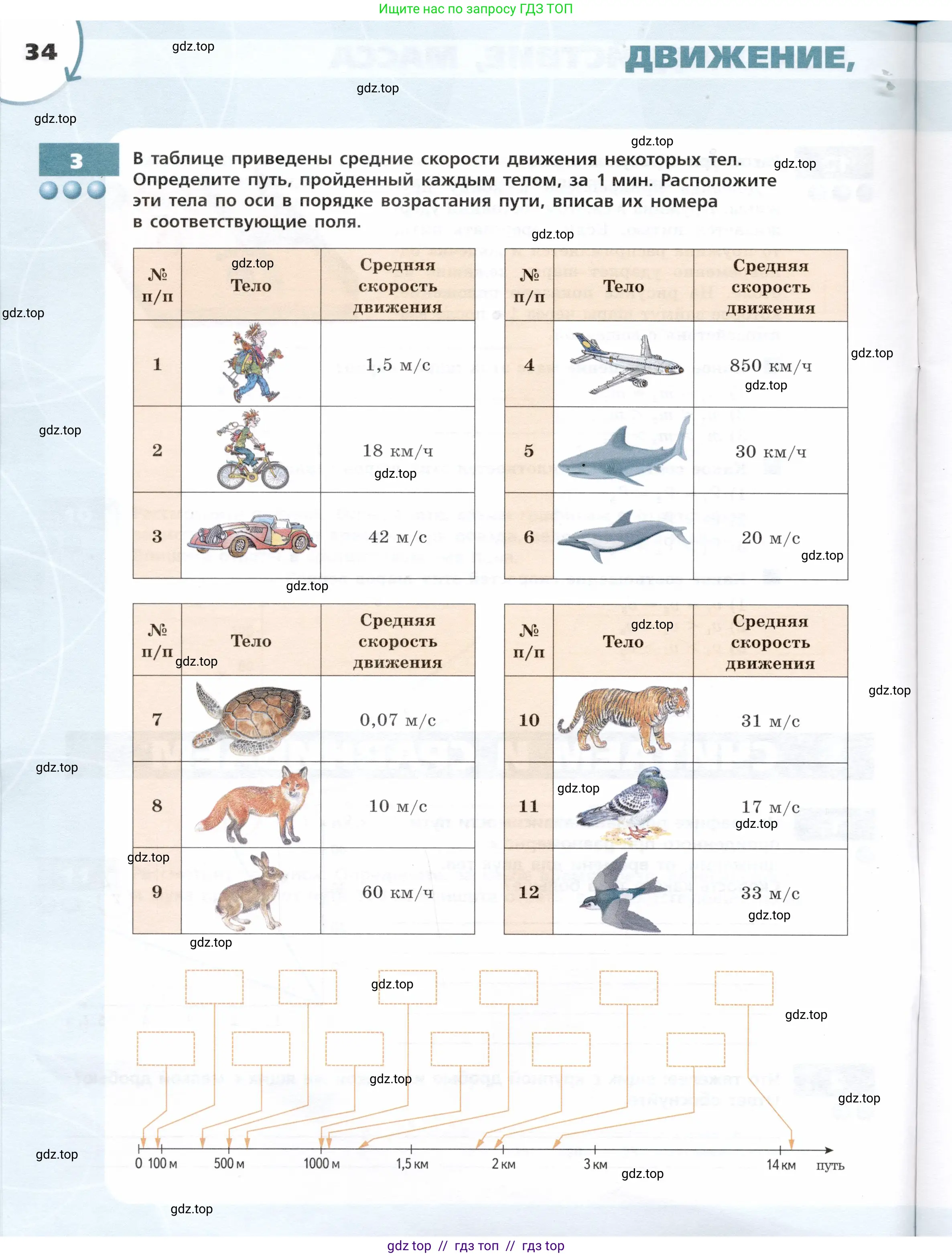 Физика, 7 класс Тетрадь-тренажёр, авторы: Артеменков Денис Александрович, Белага Виктория Владимировна, Воронцова Наталия Игоревна, Ломаченков Иван Алексеевич, Панебратцев Юрий Анатольевич, издательство Просвещение, Москва, 2024, страница 34