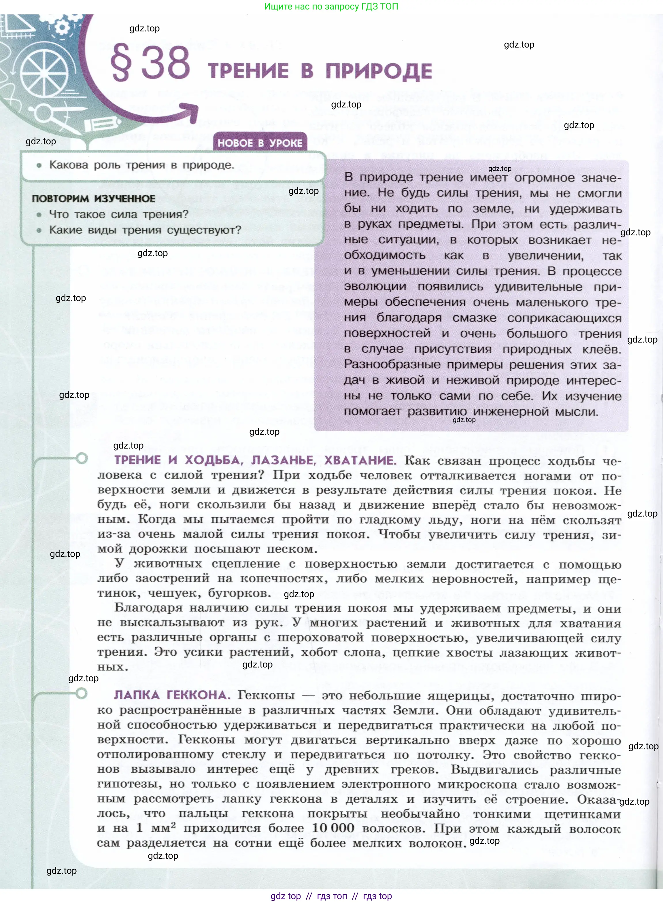 Физика, 7 класс Учебник, авторы: Белага Виктория Владимировна, Воронцова Наталия Игоревна, Ломаченков Иван Алексеевич, Панебратцев Юрий Анатольевич, издательство Просвещение, Москва, 2024, Часть 1, страница 140