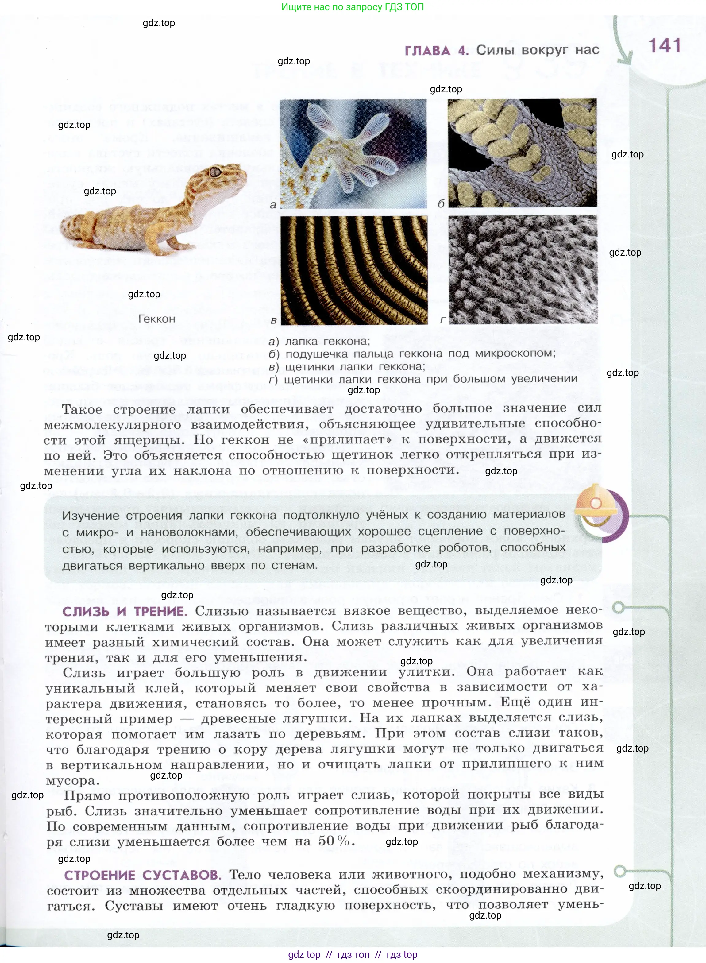Физика, 7 класс Учебник, авторы: Белага Виктория Владимировна, Воронцова Наталия Игоревна, Ломаченков Иван Алексеевич, Панебратцев Юрий Анатольевич, издательство Просвещение, Москва, 2024, страница 141